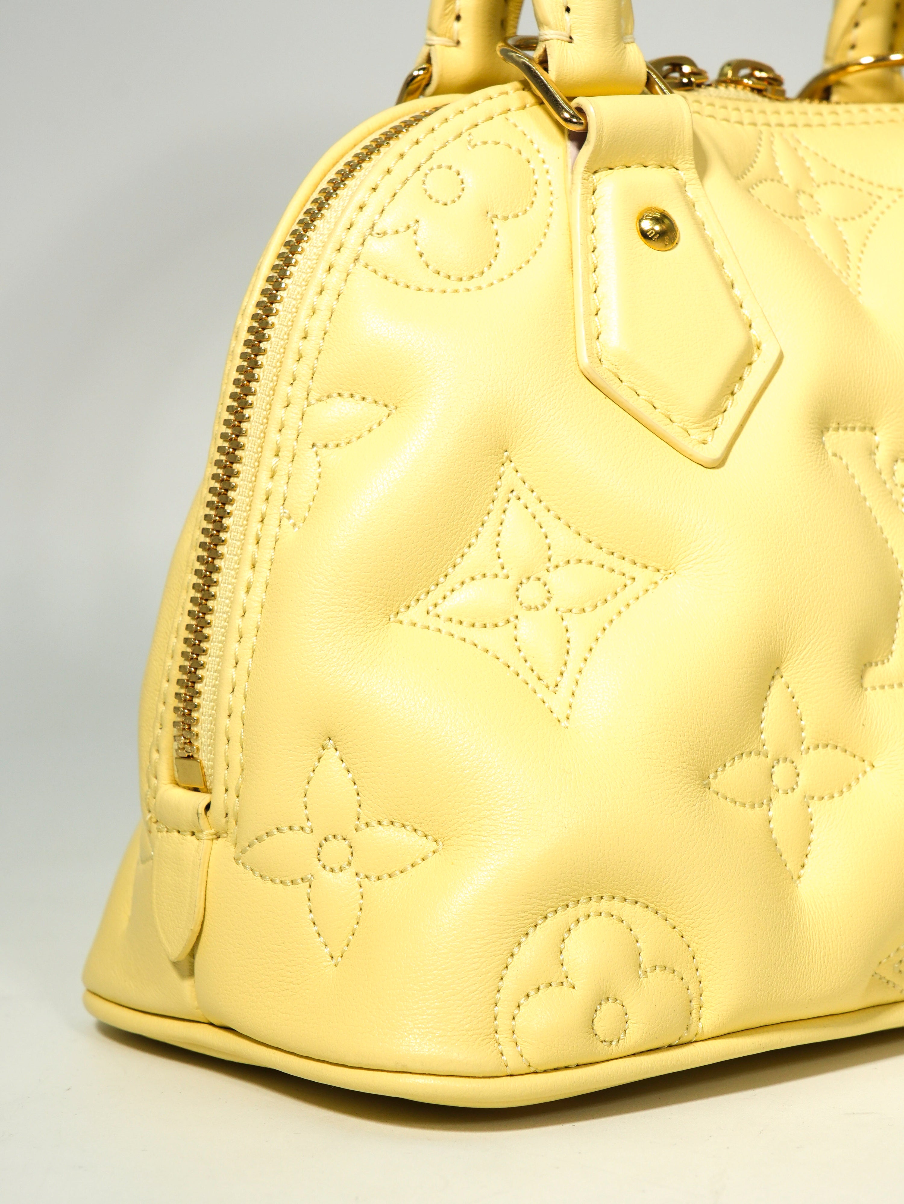 Louis Vuitton Alma BB Bubblegram