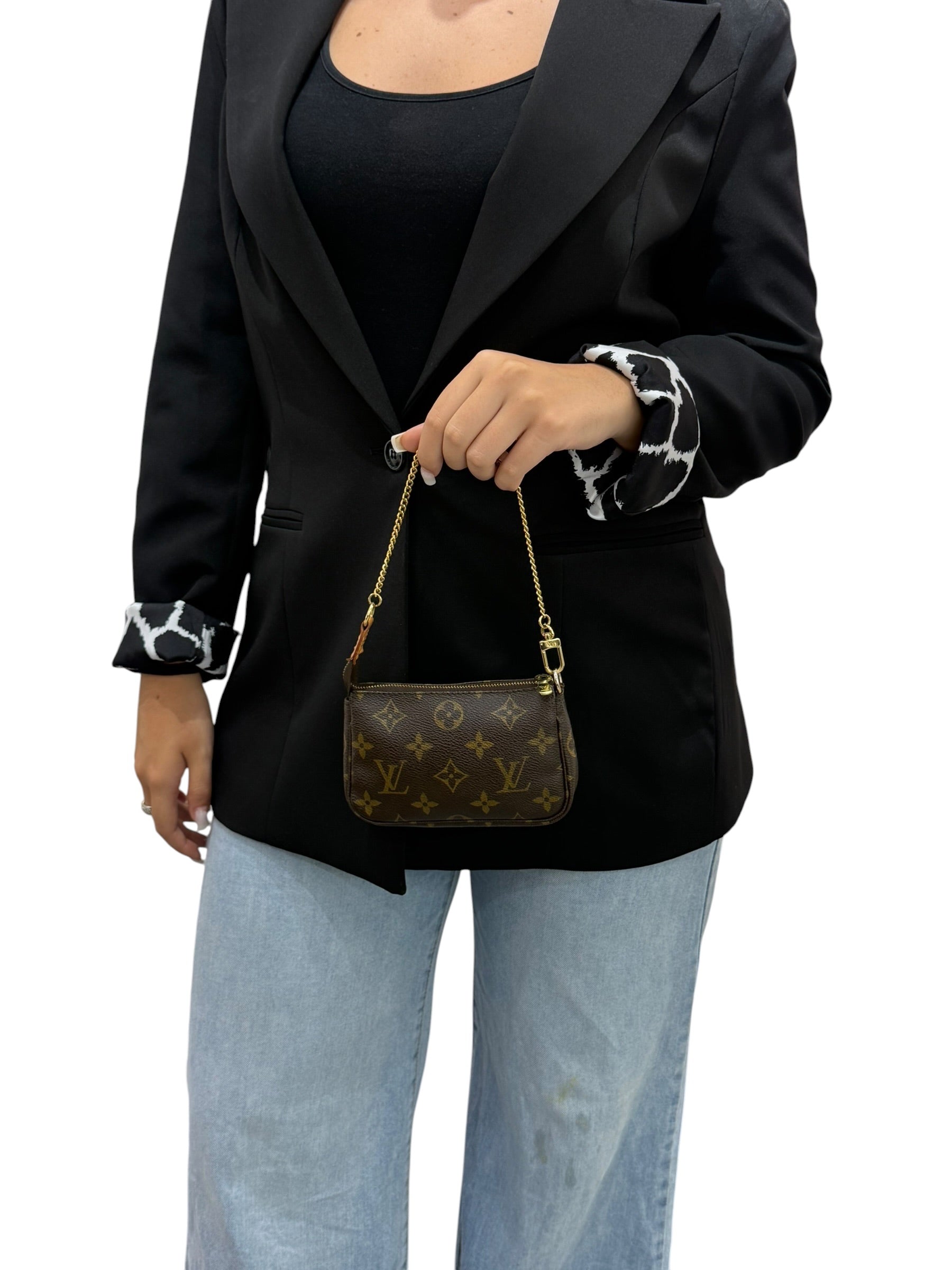 Louis Vuitton Mini Accessories Monogram