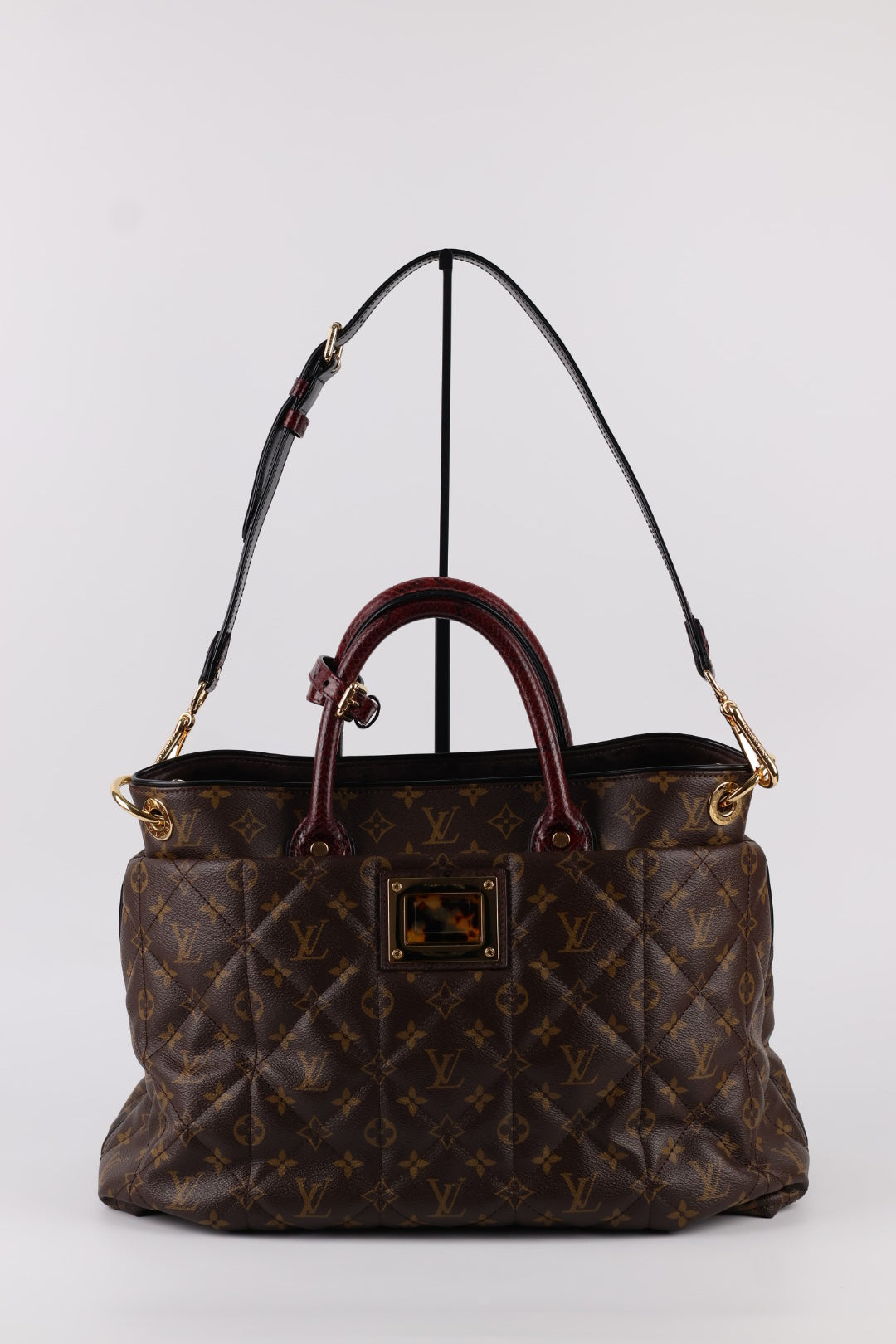 Louis Vuitton Etoile Exotique Monogram