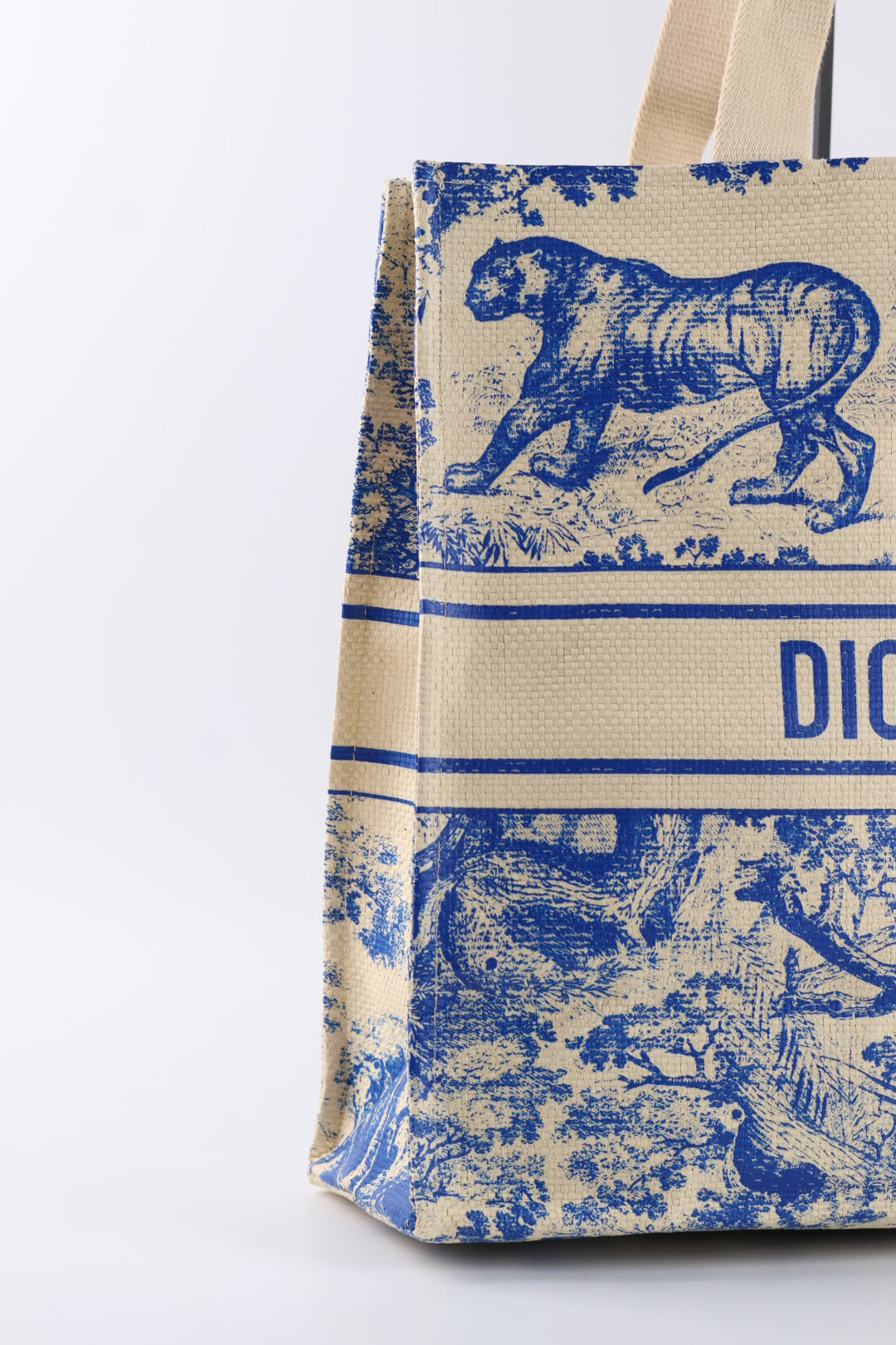 Dior Tote Riviera