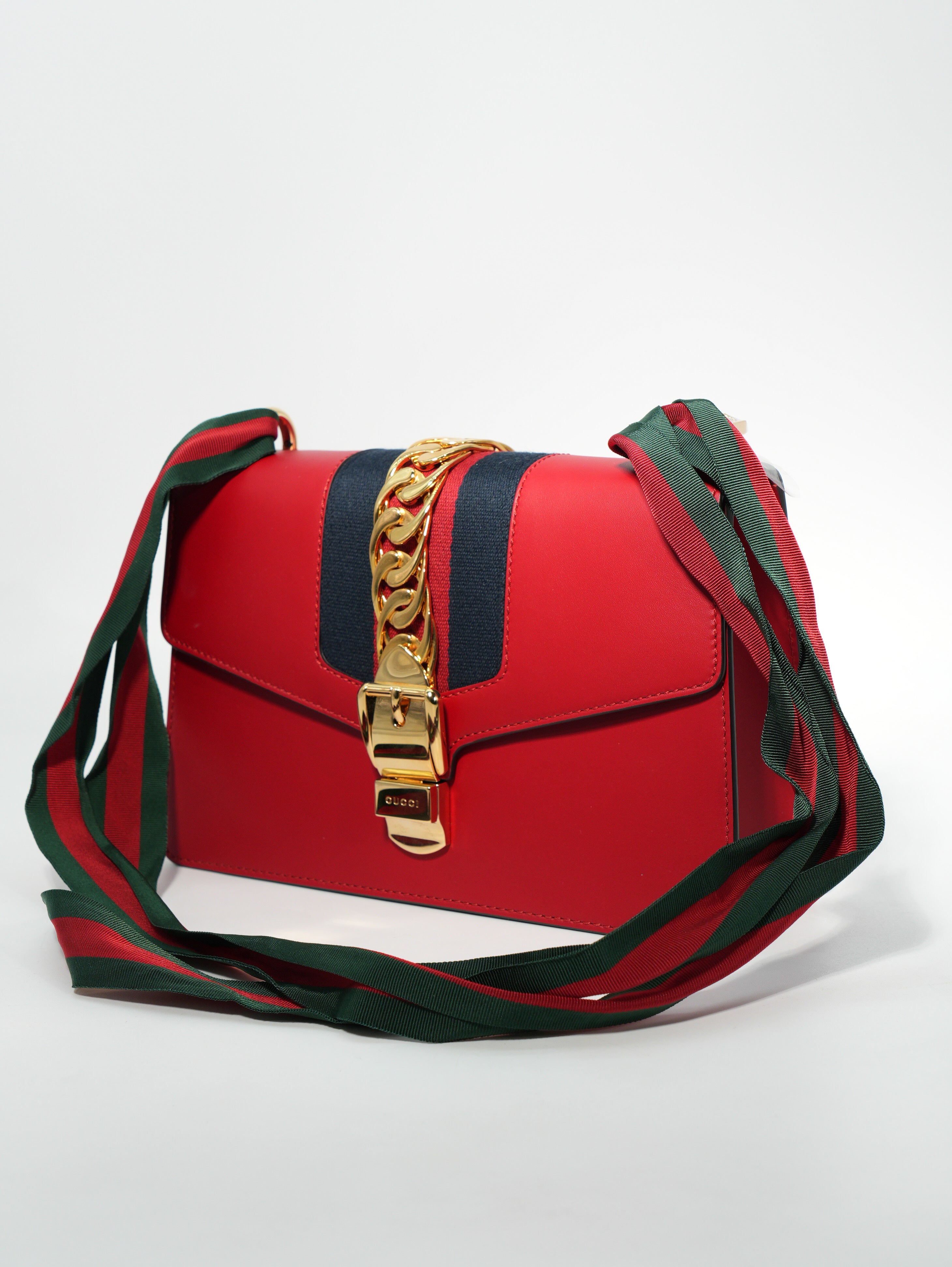Gucci Sylvie in Pelle