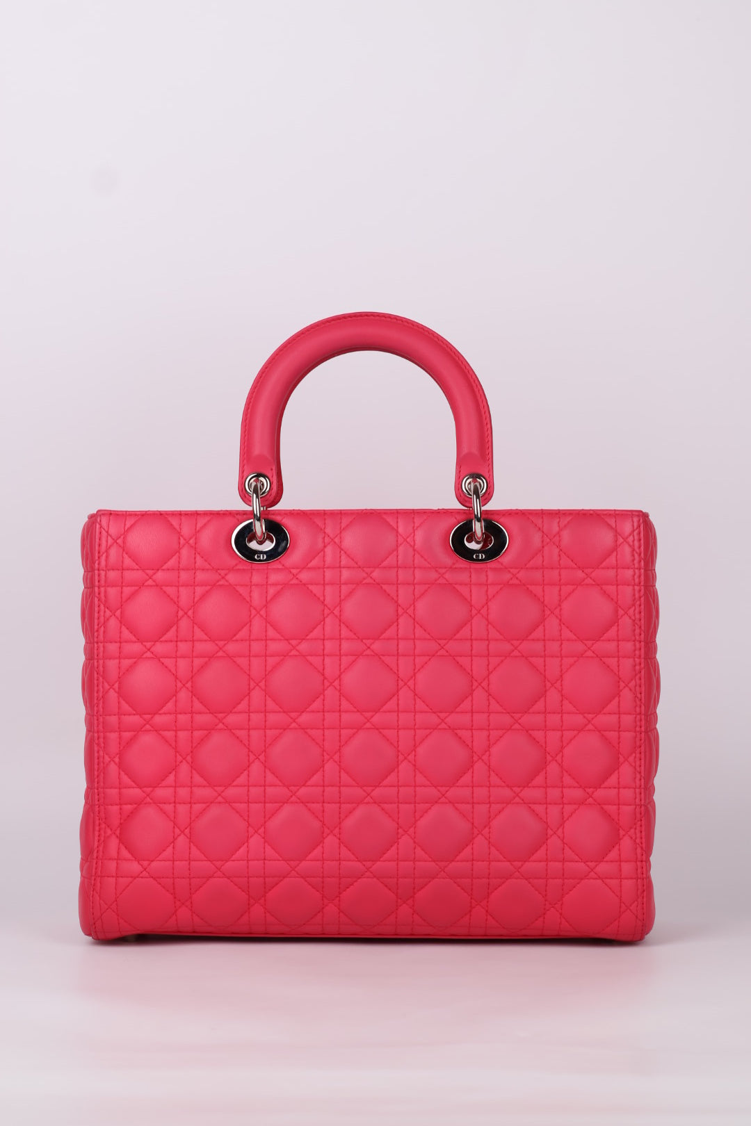 Lady Dior Large in Pelle