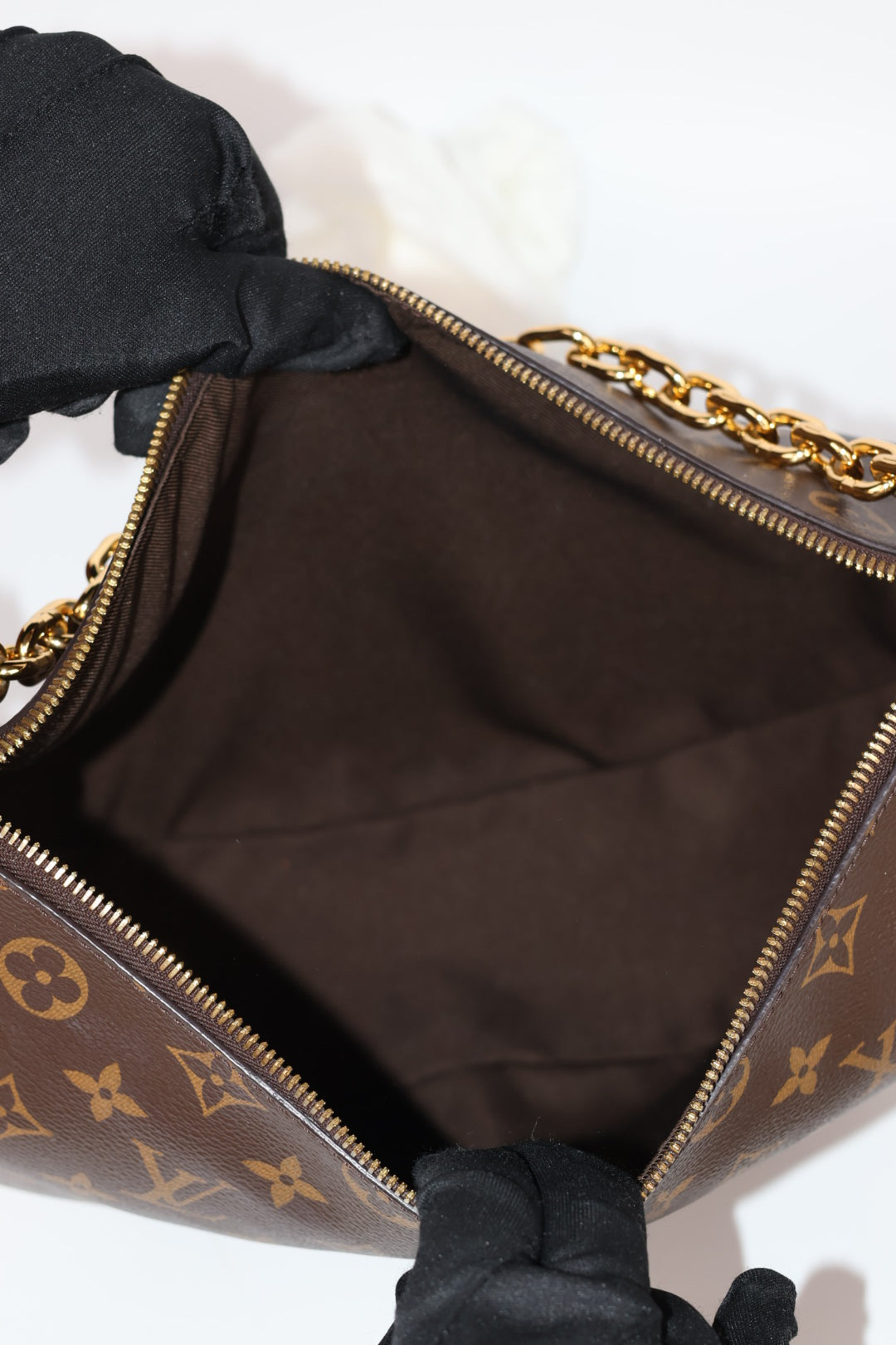 Louis Vuitton Loop Hobo Monogram