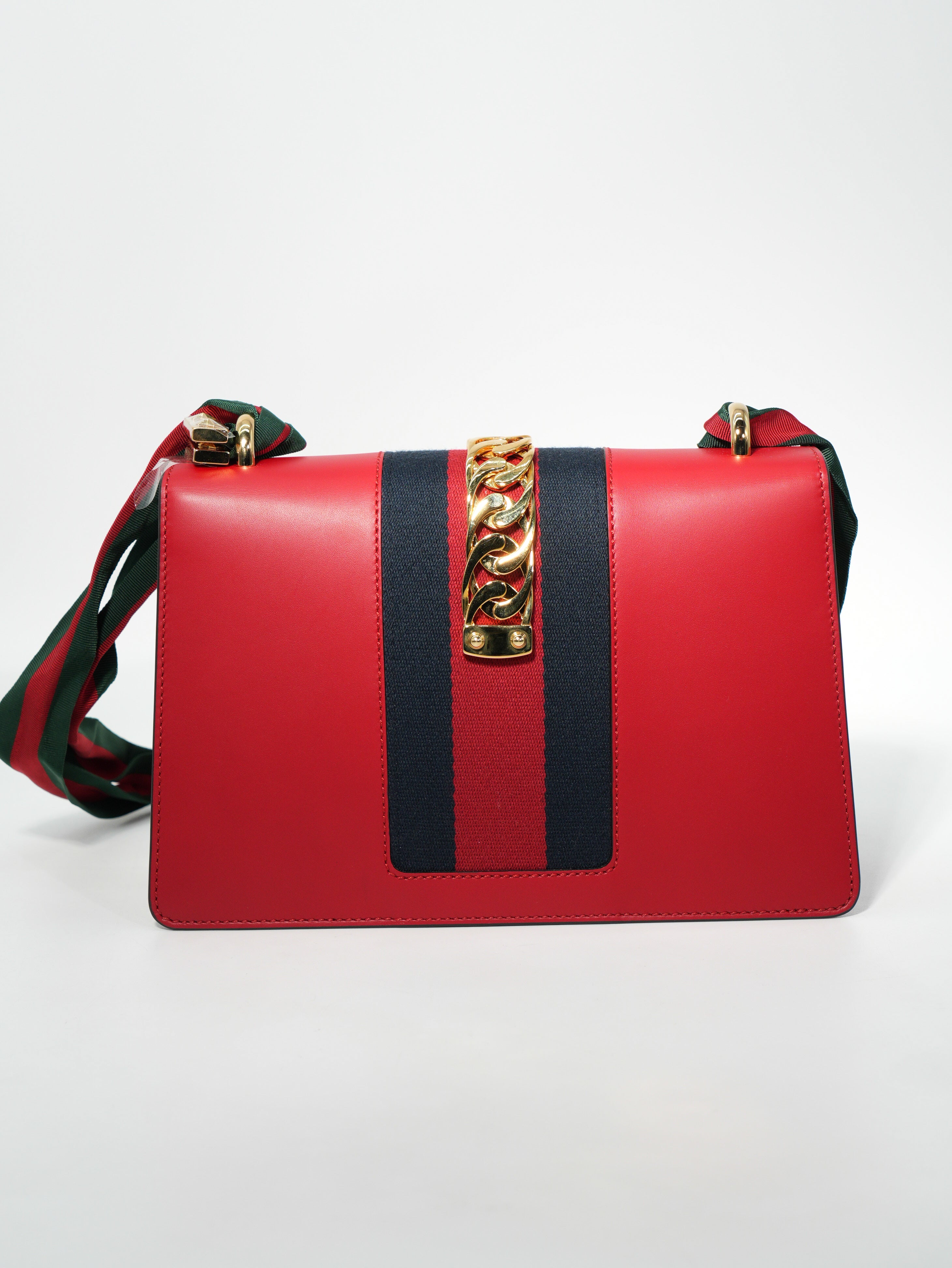Gucci Sylvie in Pelle