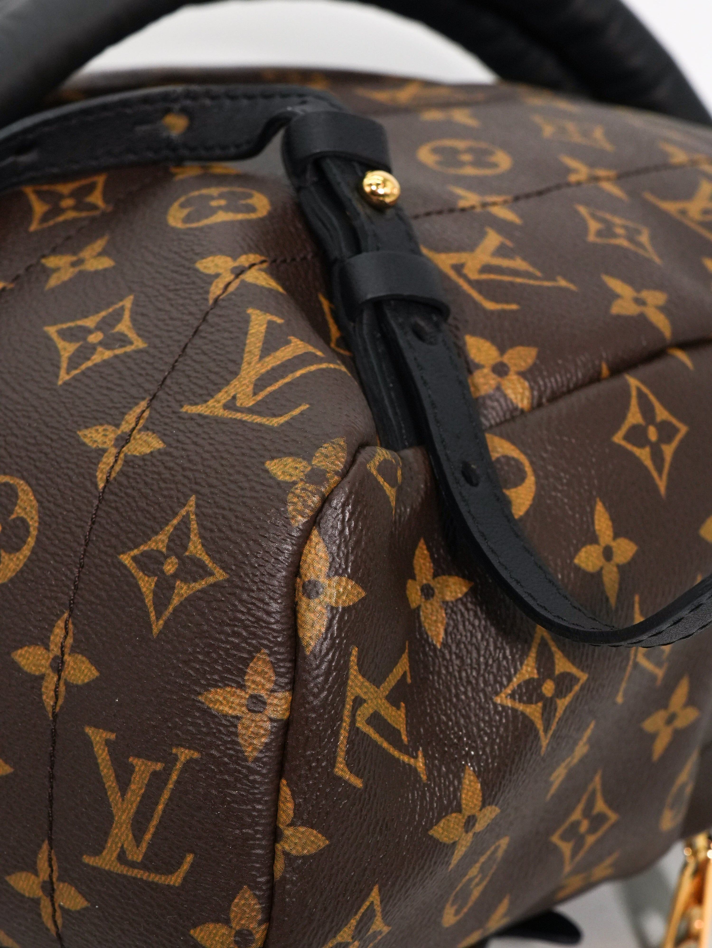 Louis Vuitton Palm Spring MM Monogram