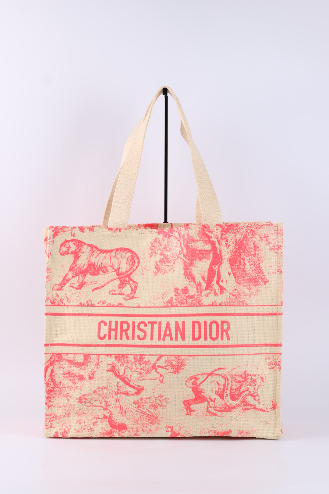 Dior Tote Riviera