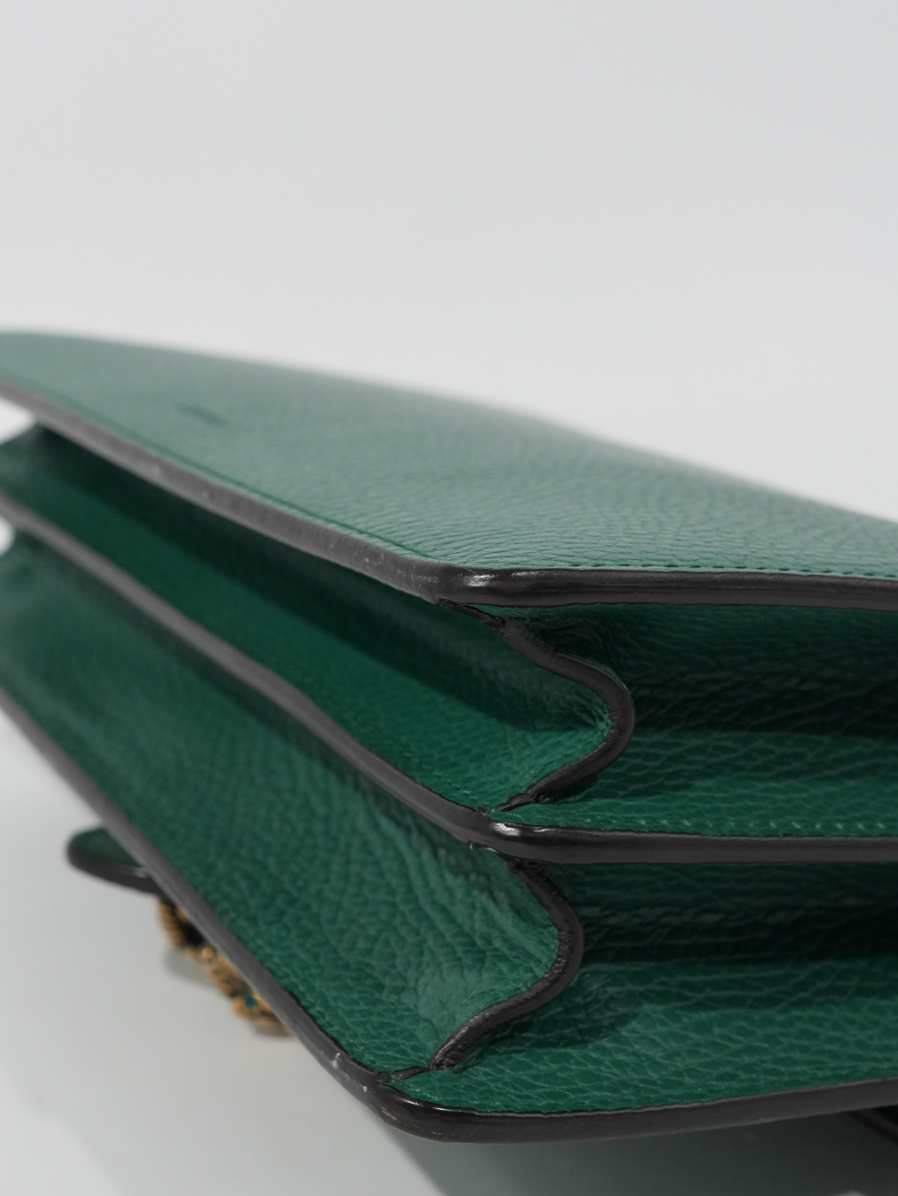 Gucci Dionysus in Pelle