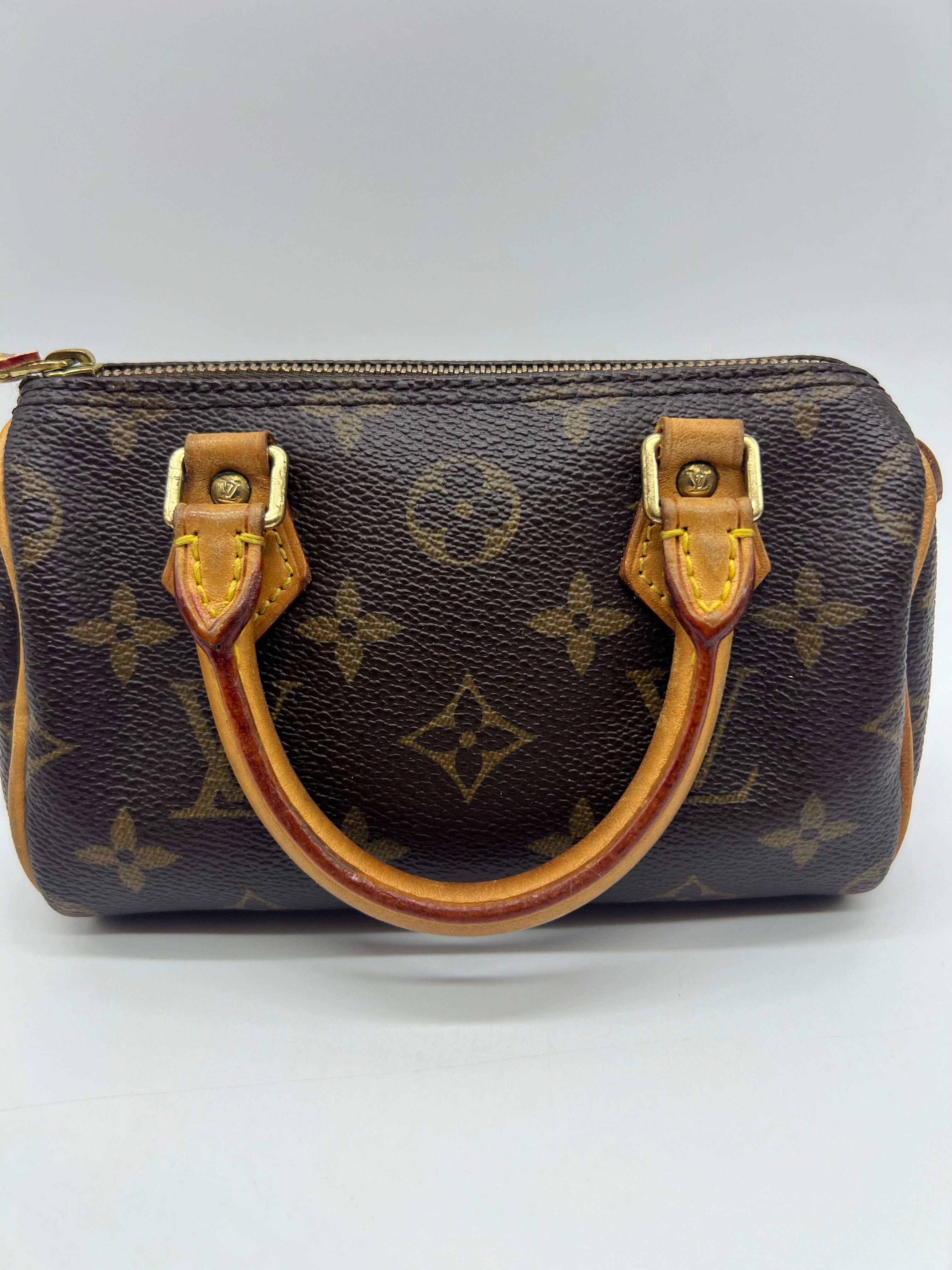 Louis Vuitton Nano Speedy Monogram