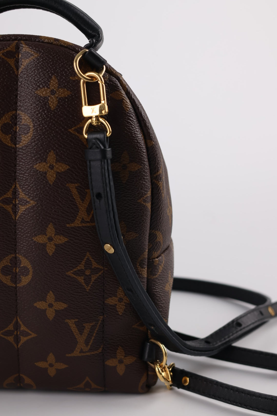 Louis Vuitton Mini Palm Spring Monogram