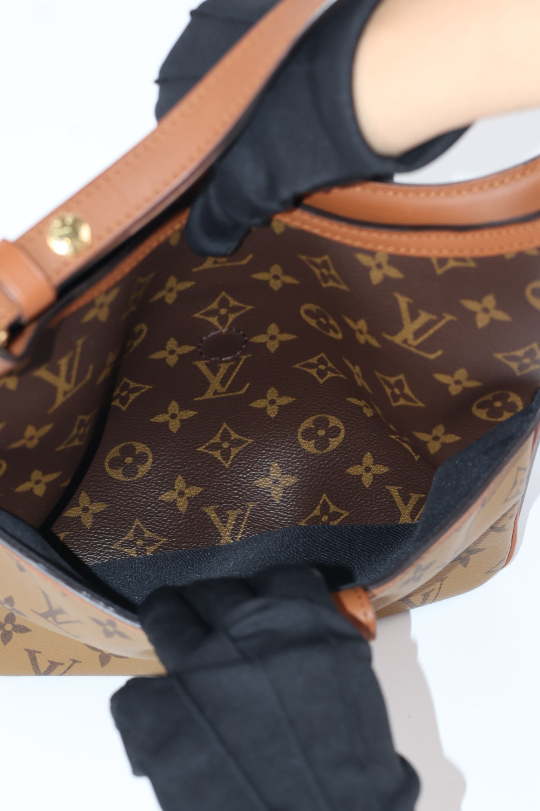 Louis Vuitton Dauphine Hobo Monogram