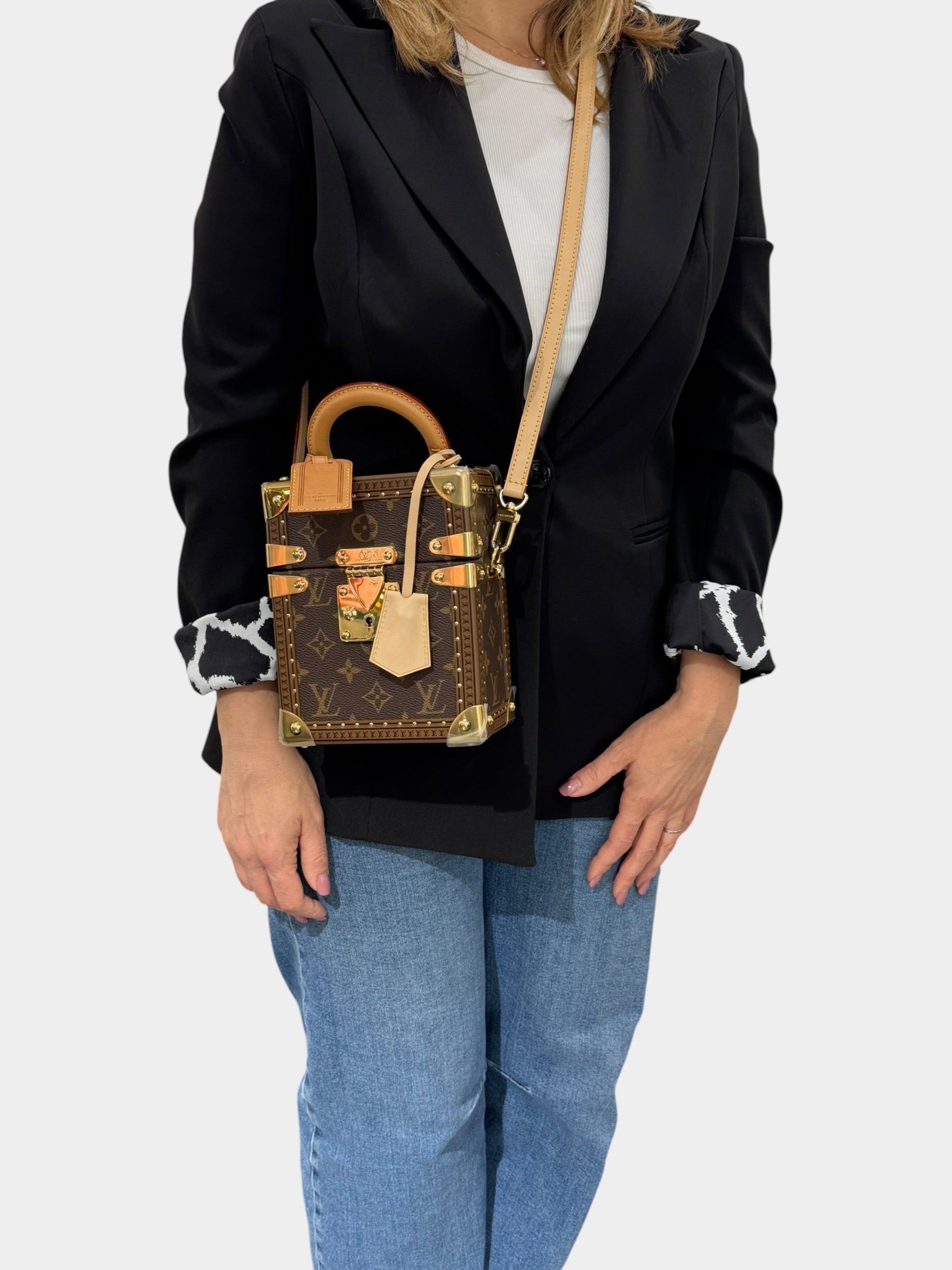 Louis Vuitton Camera Box Monogram