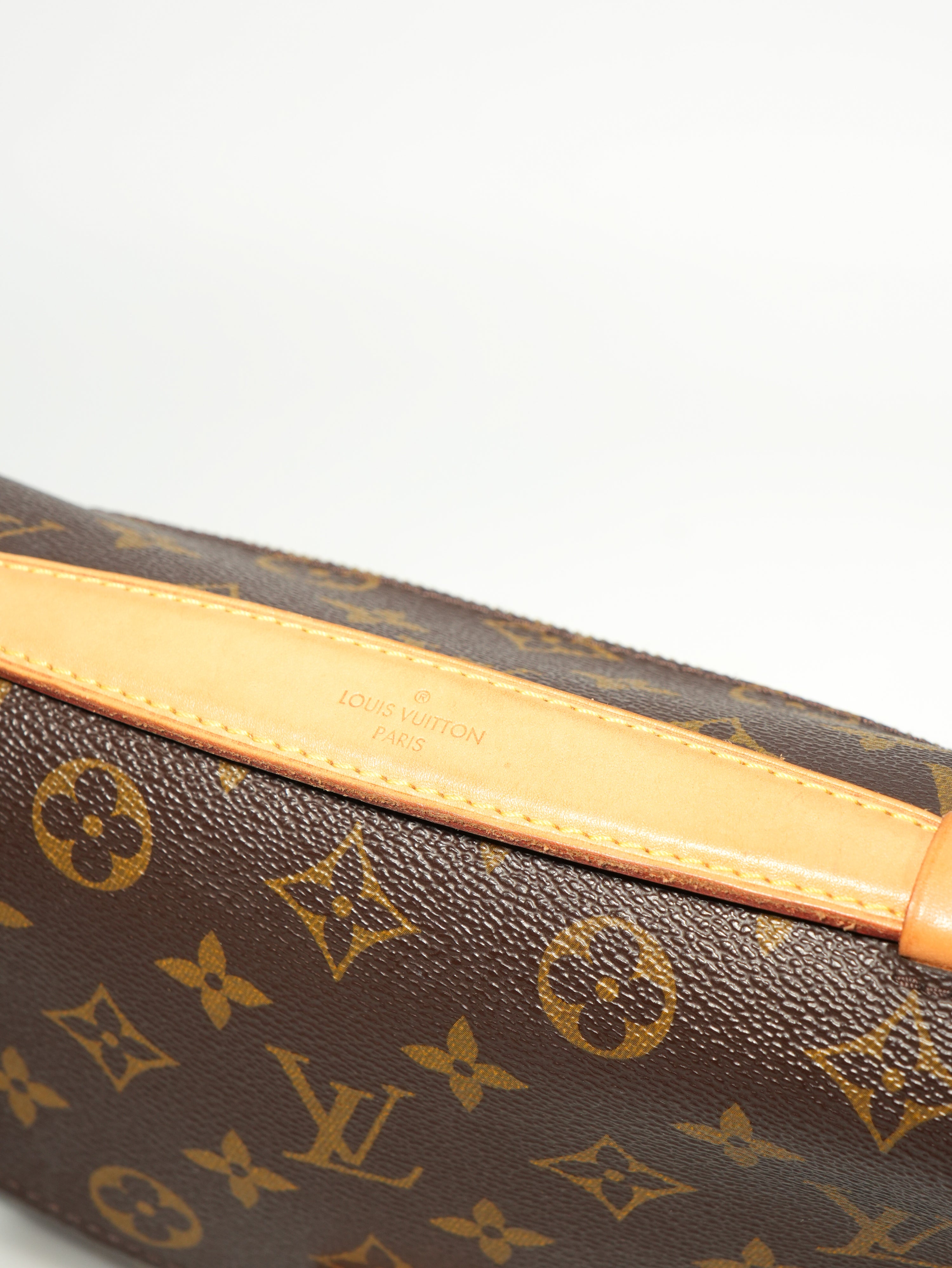 Louis Vuitton Métis Monogram
