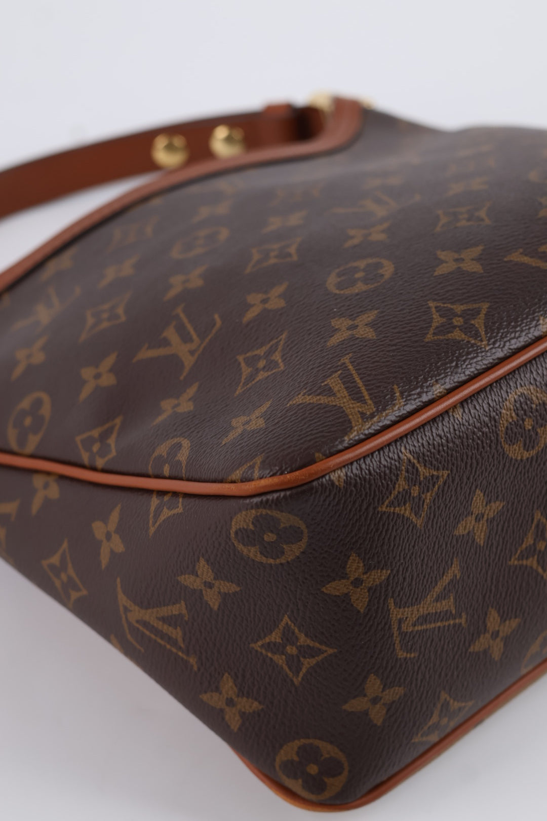 Louis Vuitton Dauphine Hobo Monogram