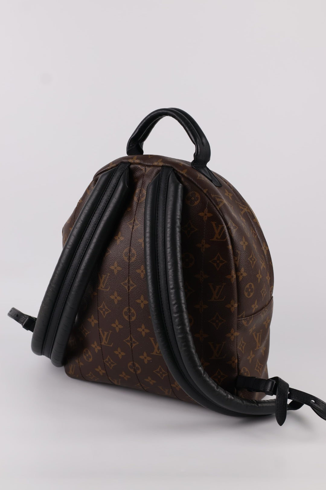 Louis Vuitton Palm Spring MM Monogram