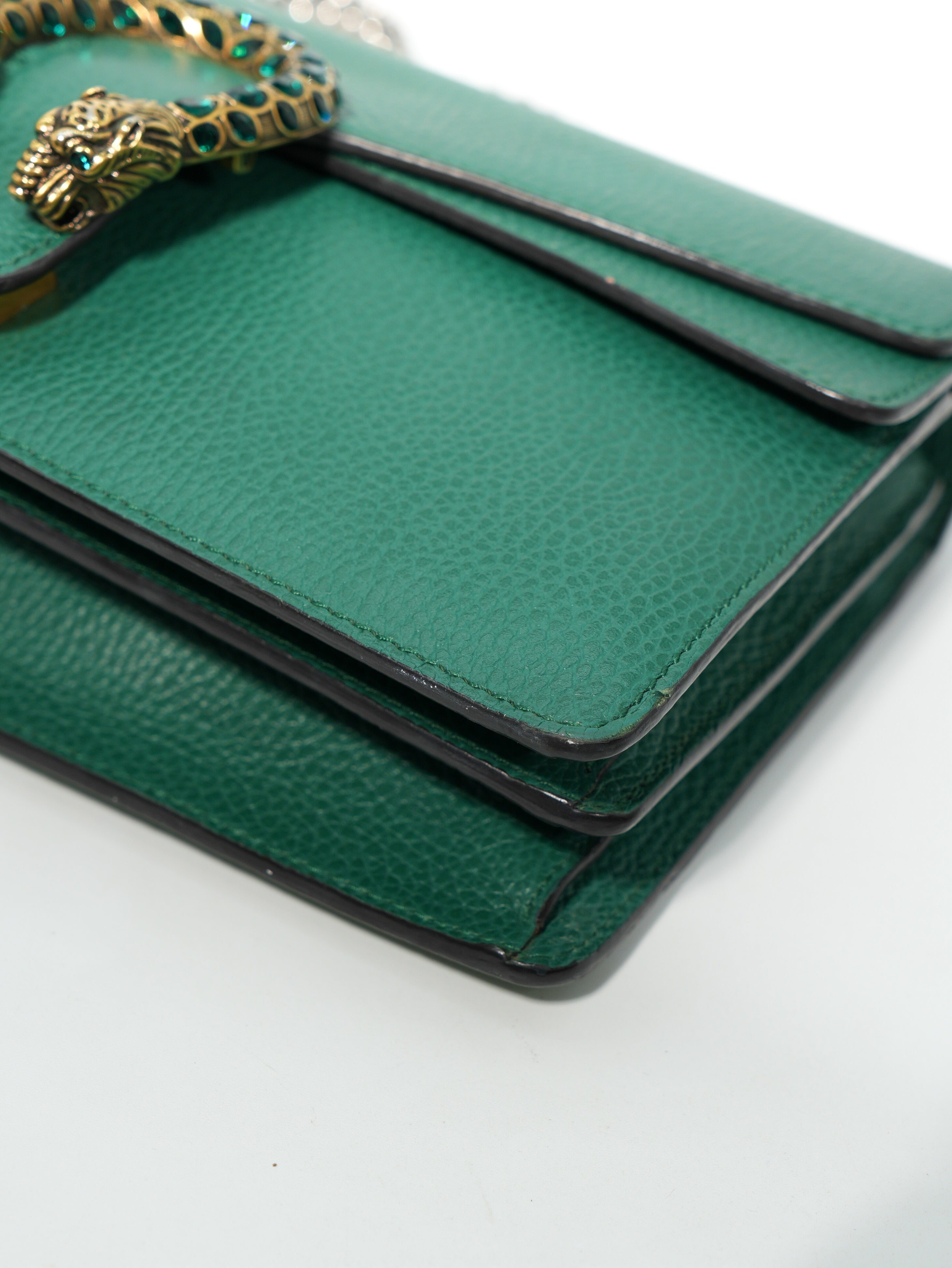 Gucci Dionysus in Pelle