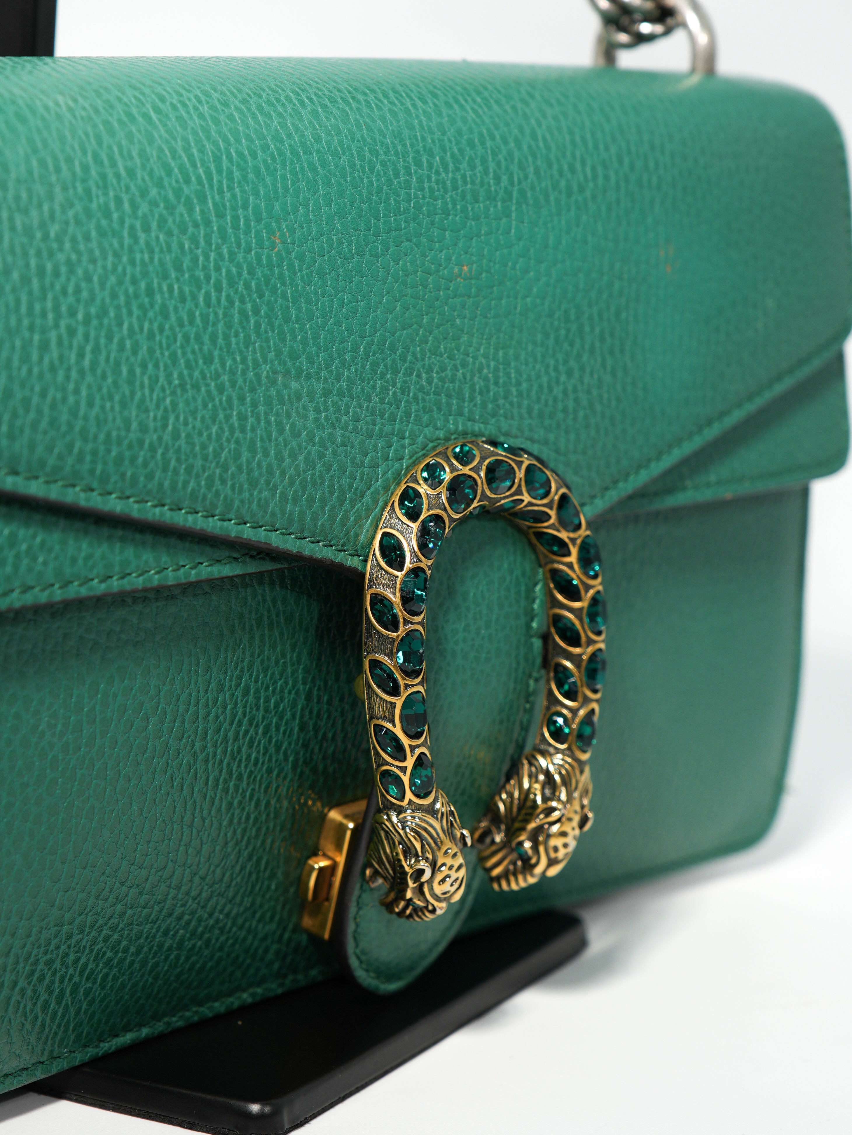 Gucci Dionysus in Pelle
