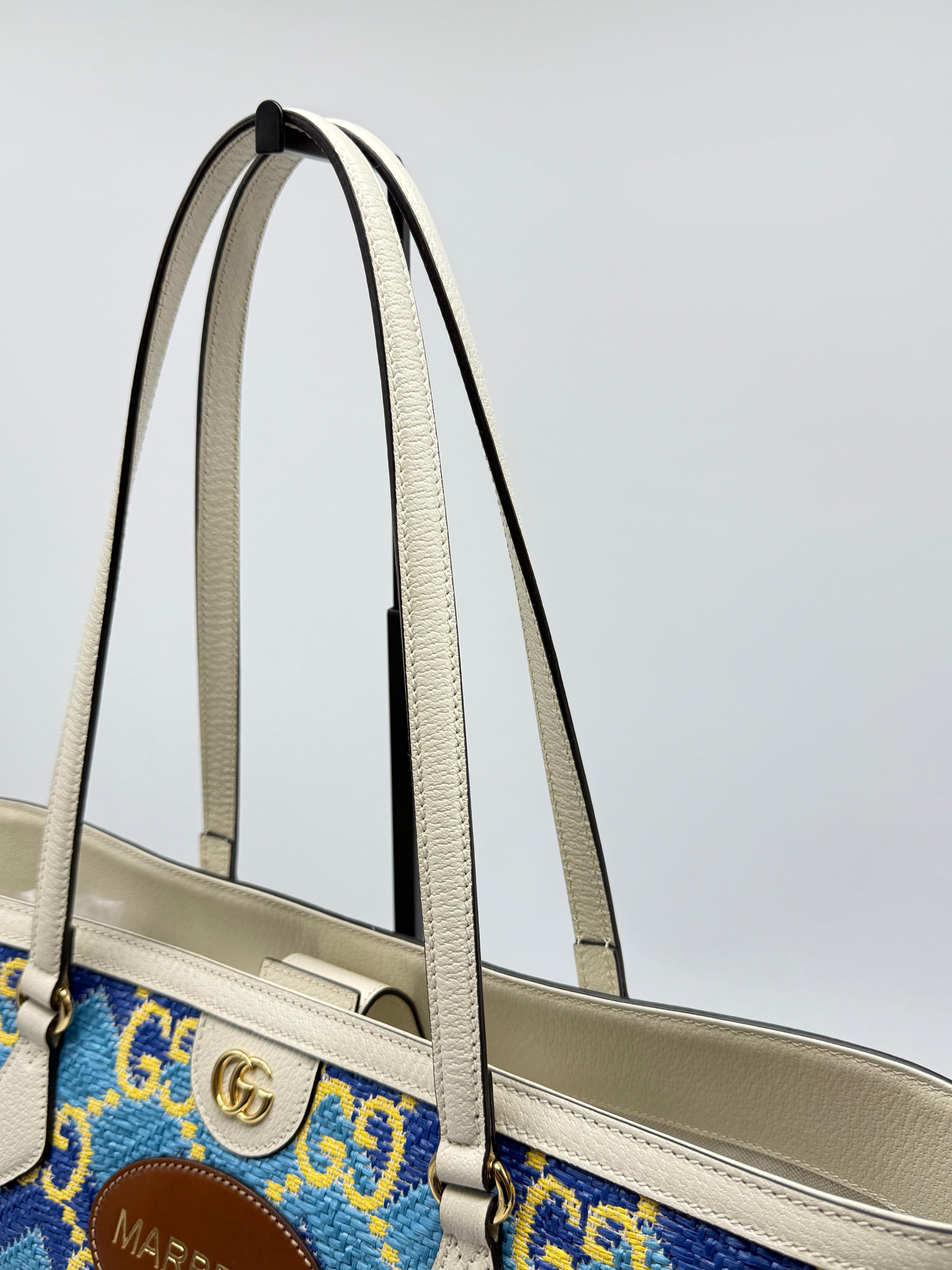 Gucci Ophidia Shopping Destination