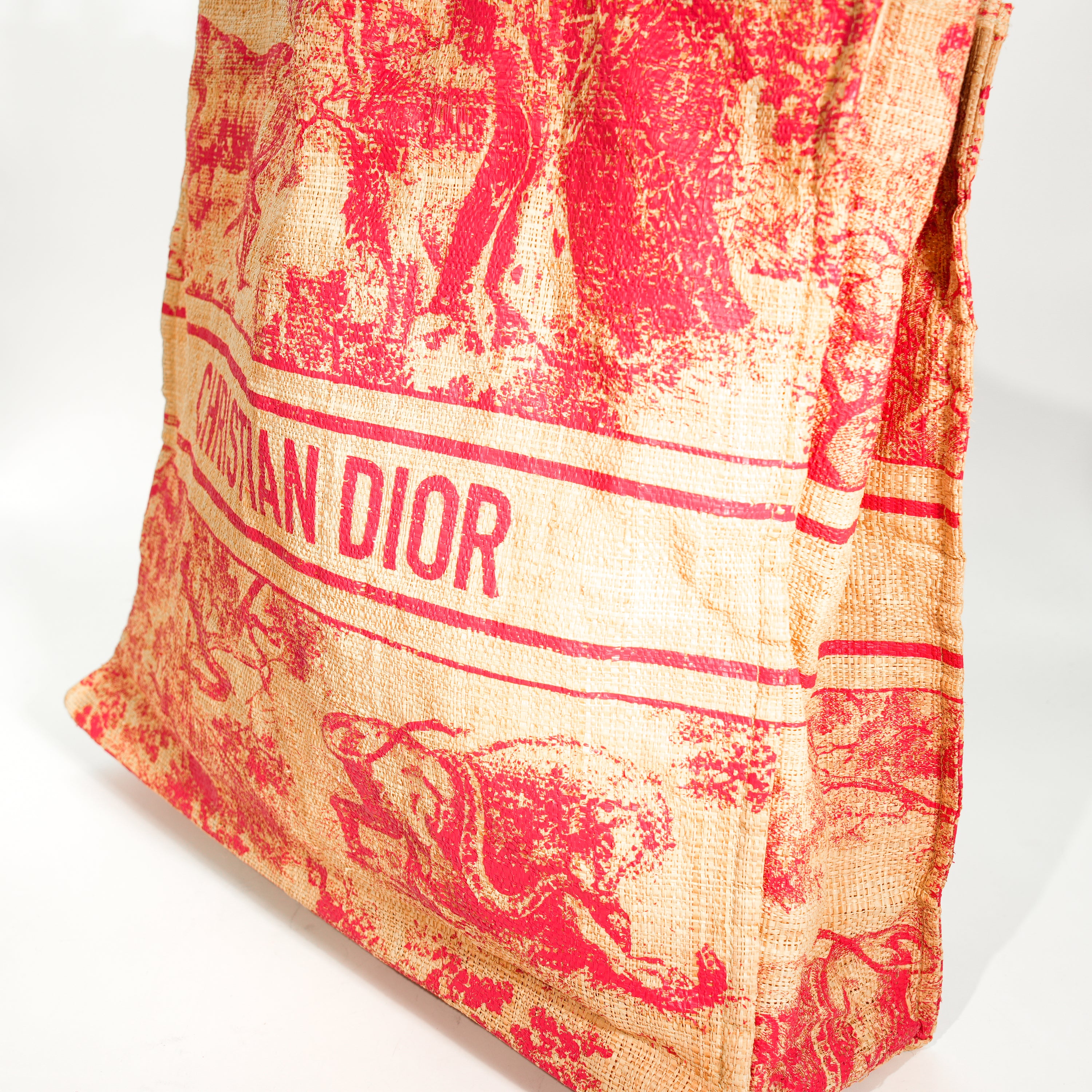 Dior Tote Riviera