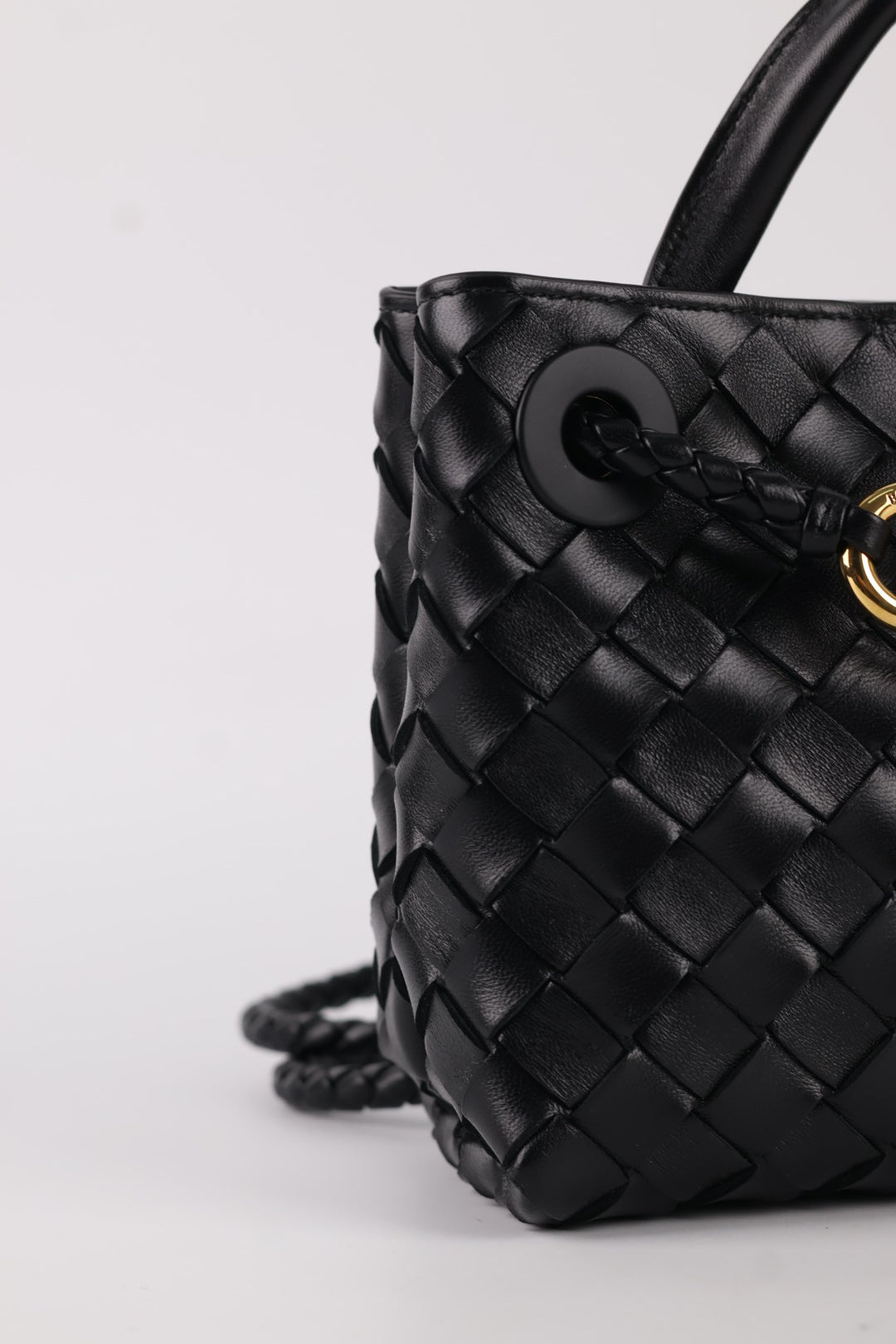 Bottega Veneta Andiamo Mini