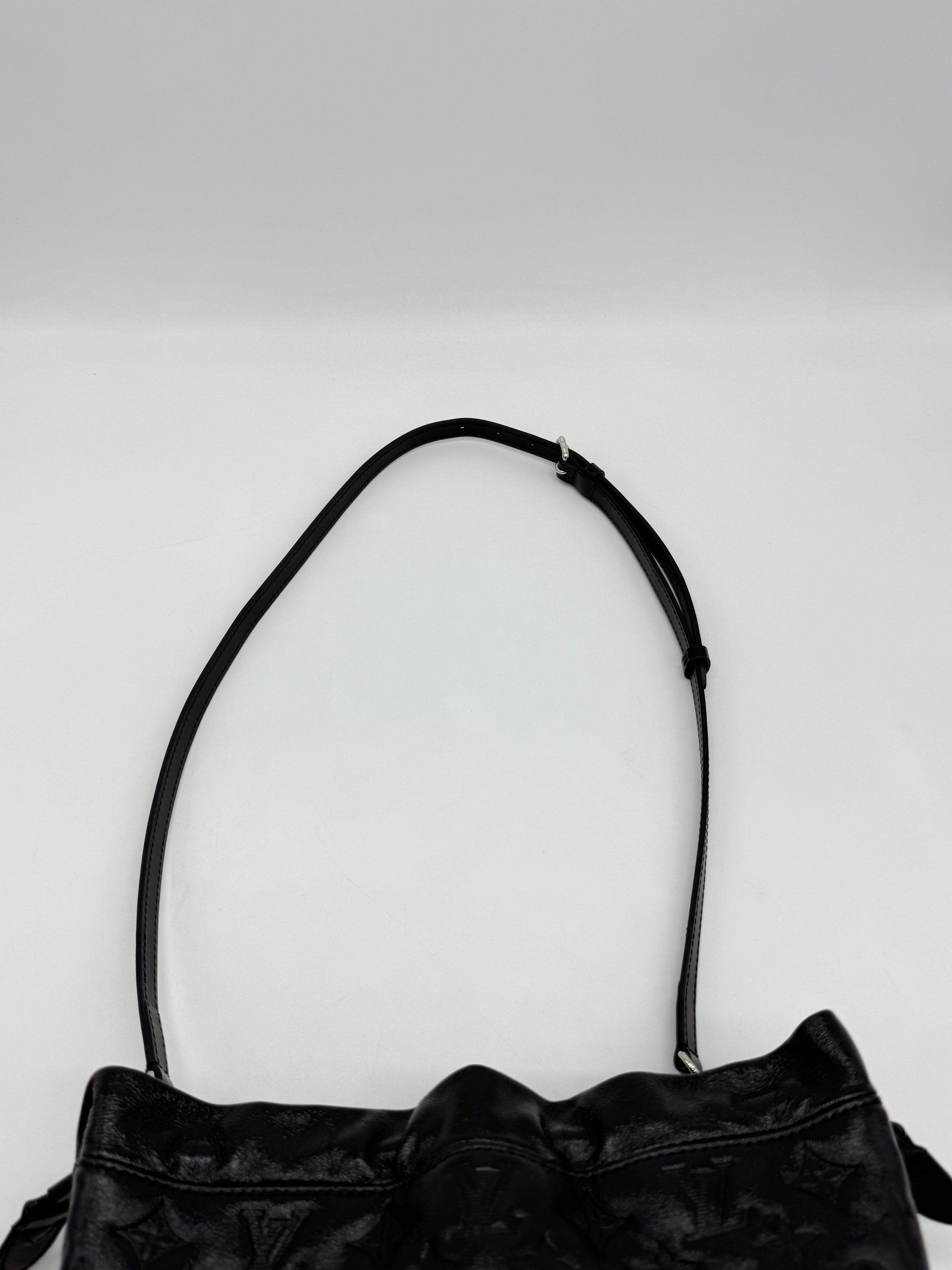 Louis Vuitton Noé Trunk Coussin PM