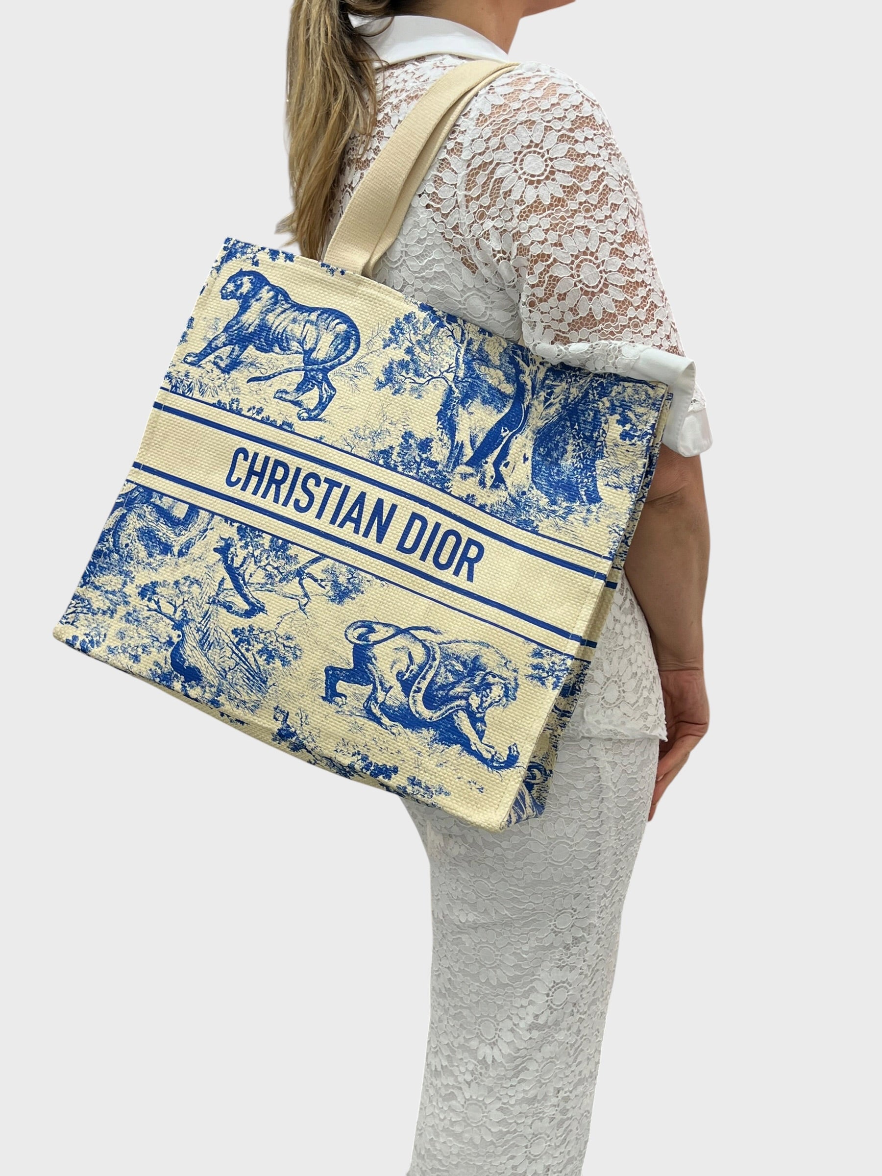 Dior Tote Riviera