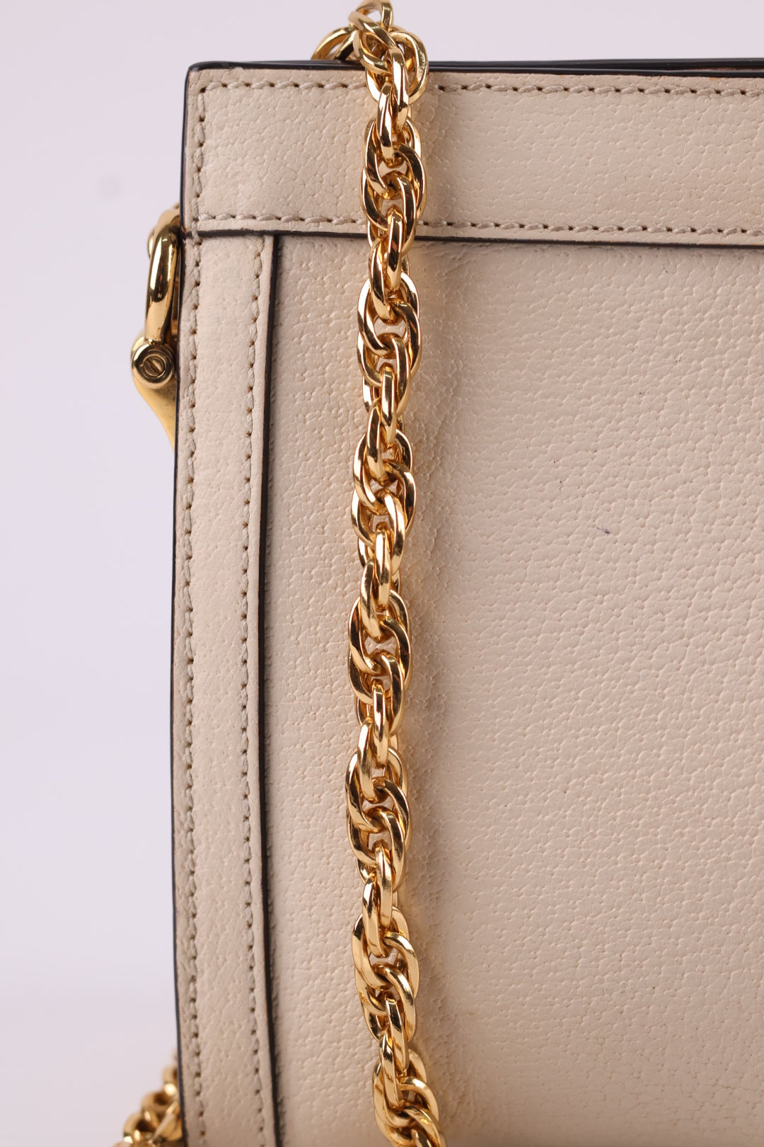 Gucci Ophidia Chain in Pelle