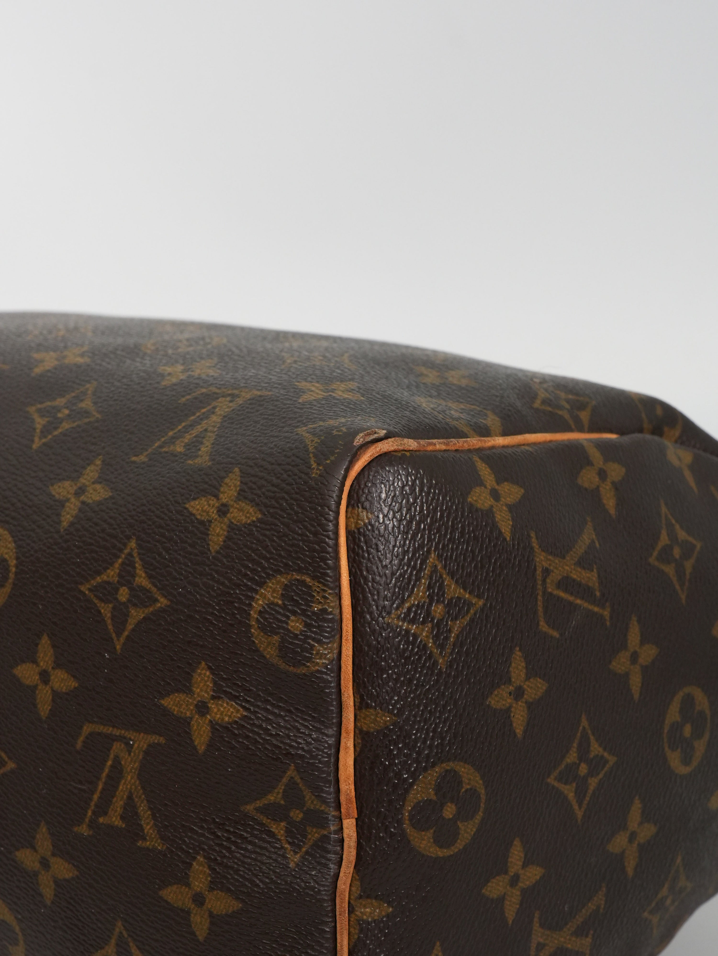Louis Vuitton Speedy 25 Monogram