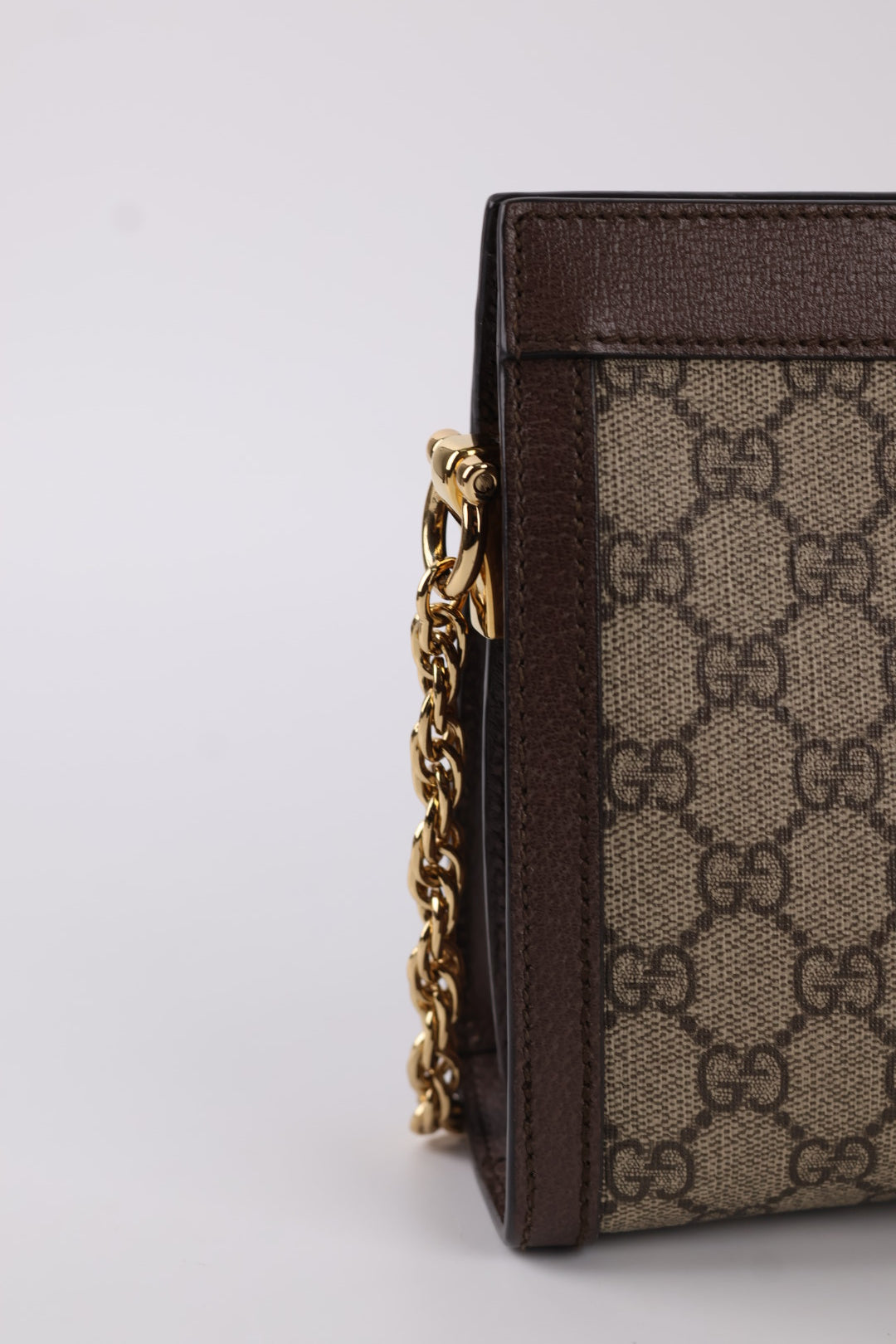 Gucci Ophidia Chain GG Supreme