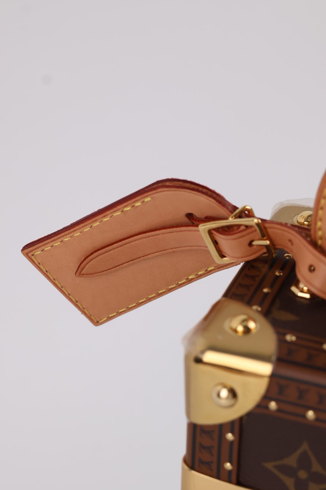Louis Vuitton Camera Box Monogram