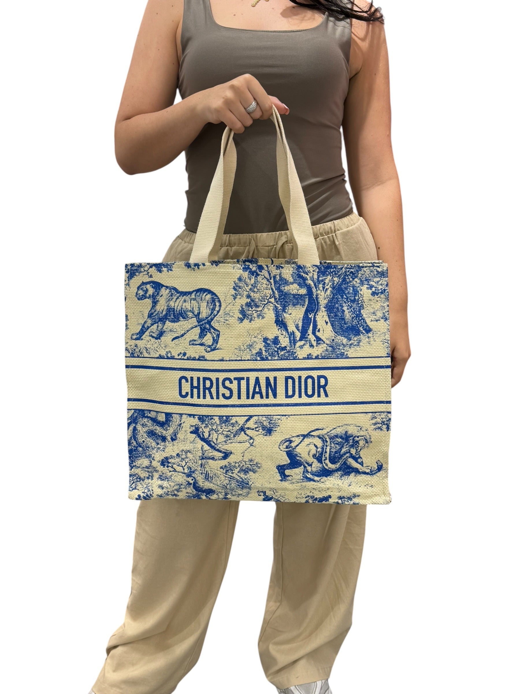 Dior Tote Riviera