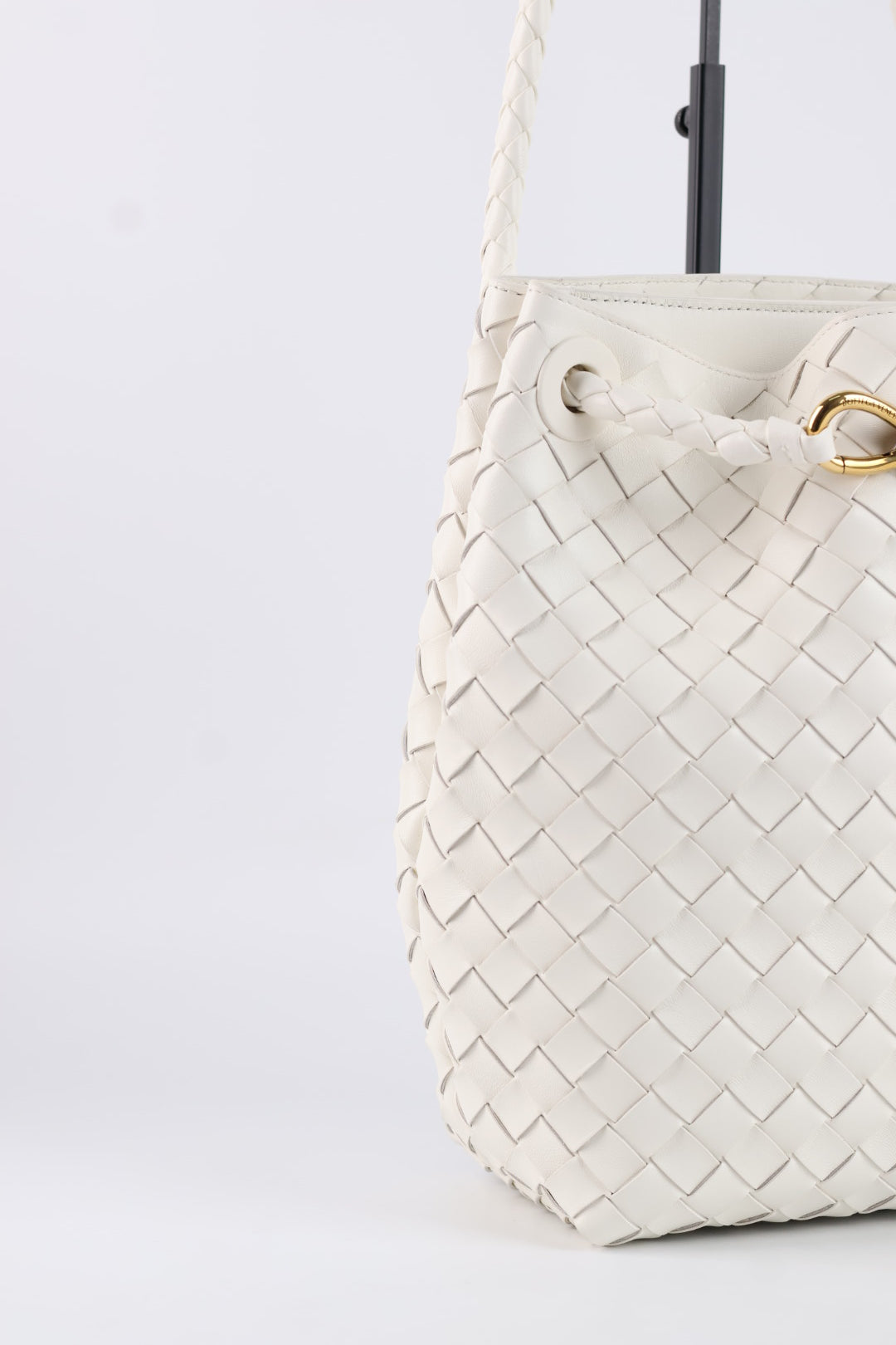 Bottega Veneta Andiamo Bucket