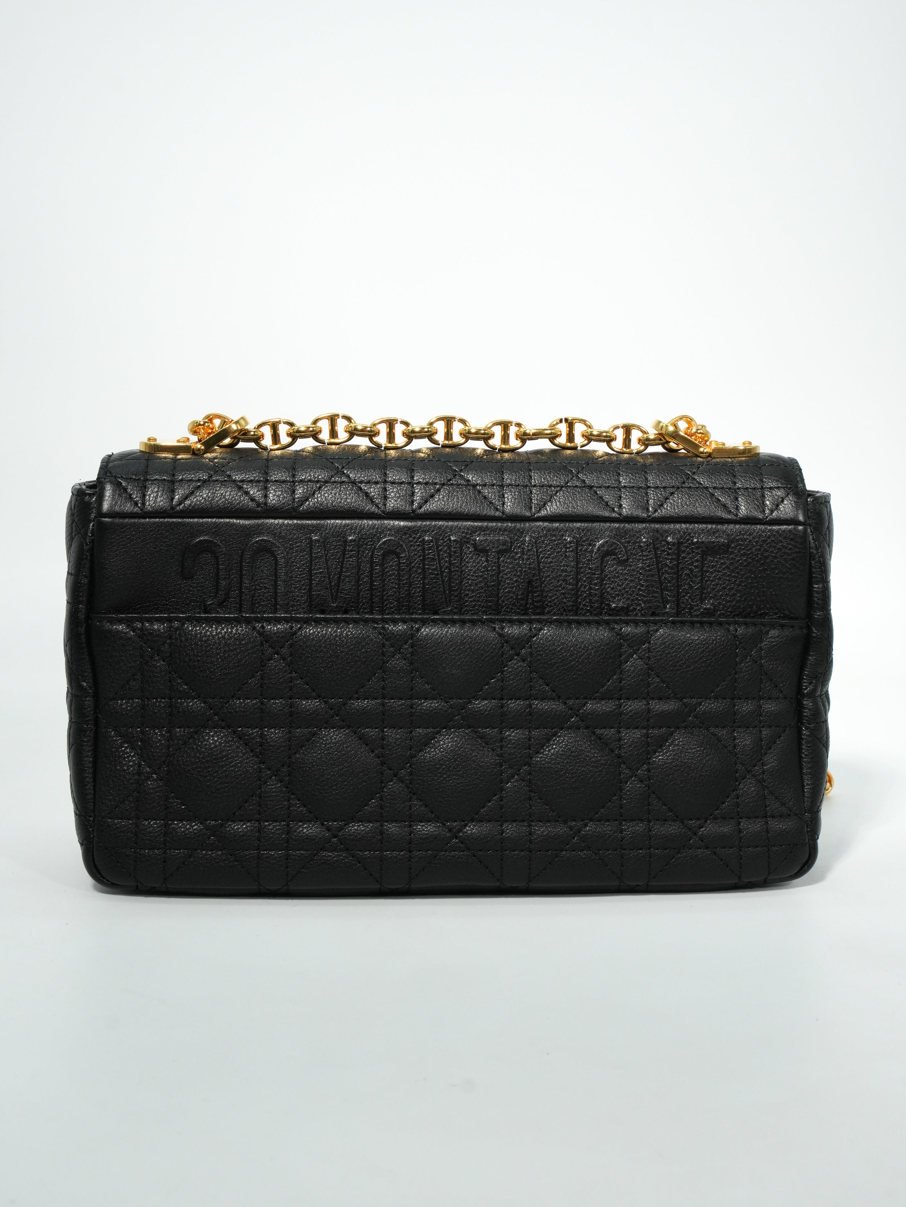 Dior Caro Media in Pelle