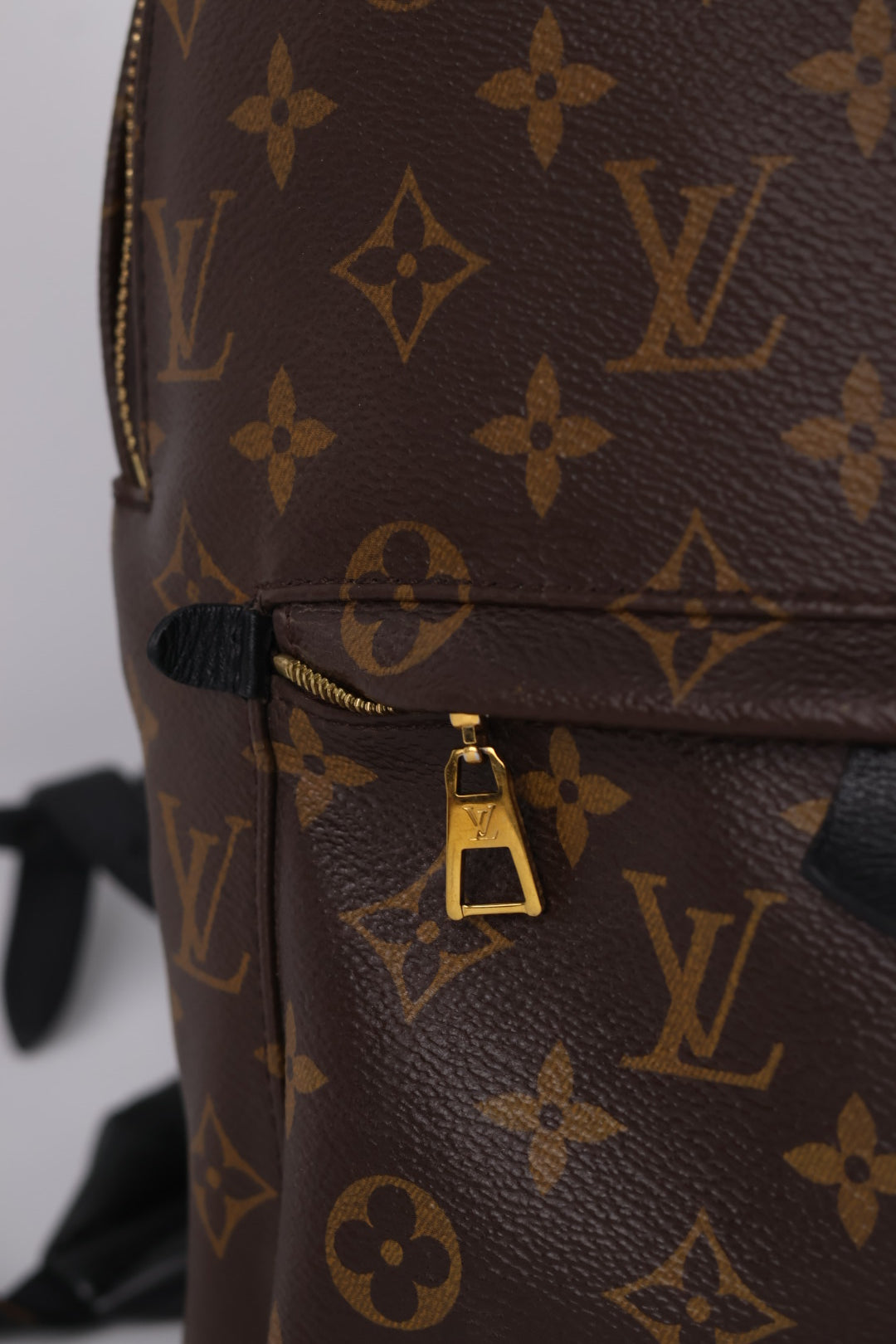 Louis Vuitton Palm Spring MM Monogram