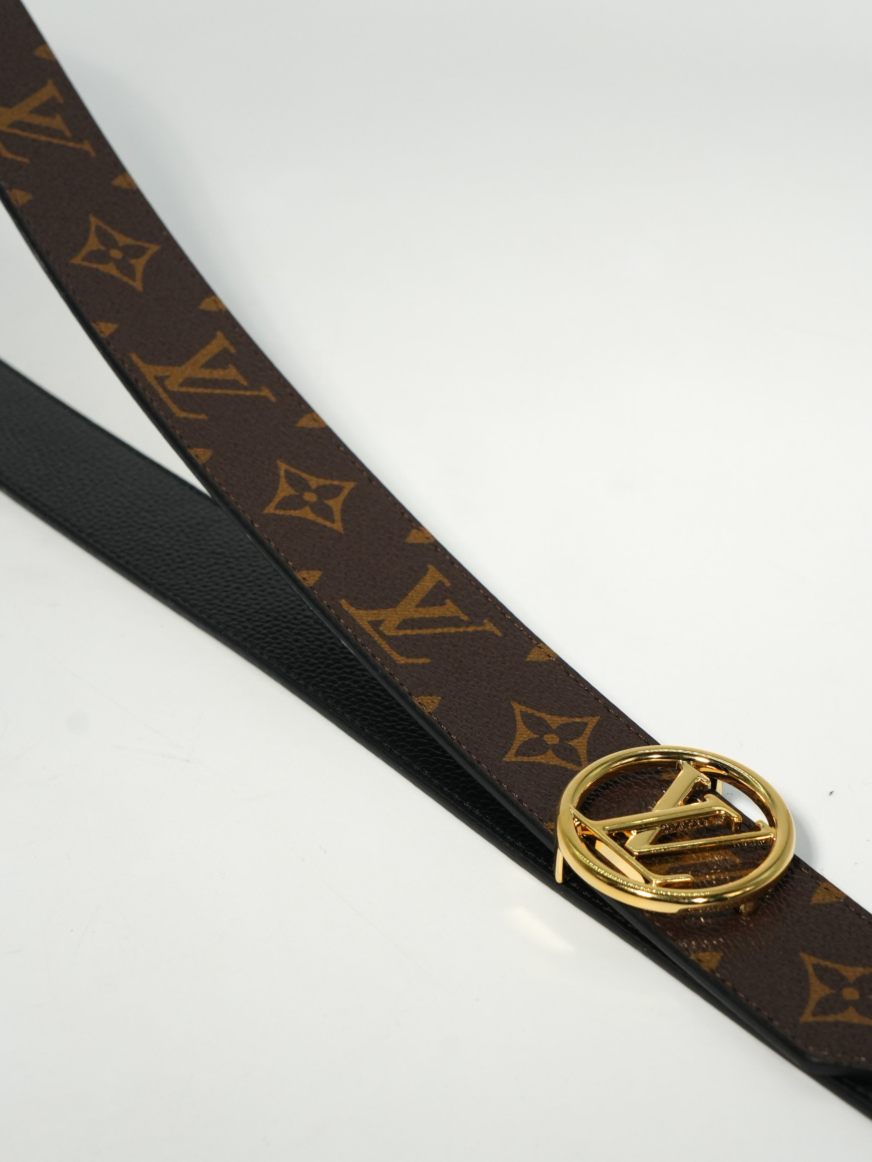 Louis Vuitton Cintura Circle Reversibile