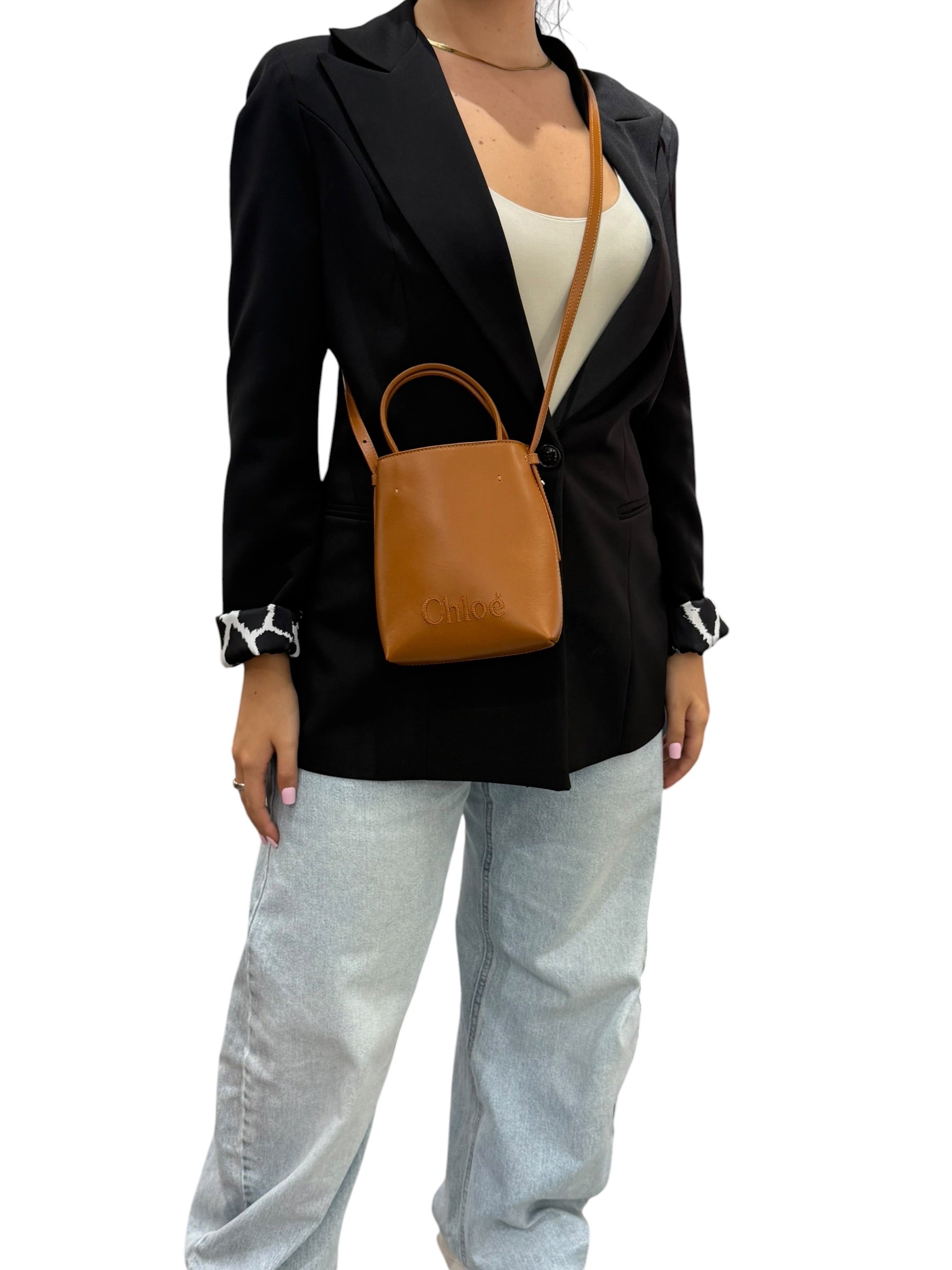 Chloè Nano Tote