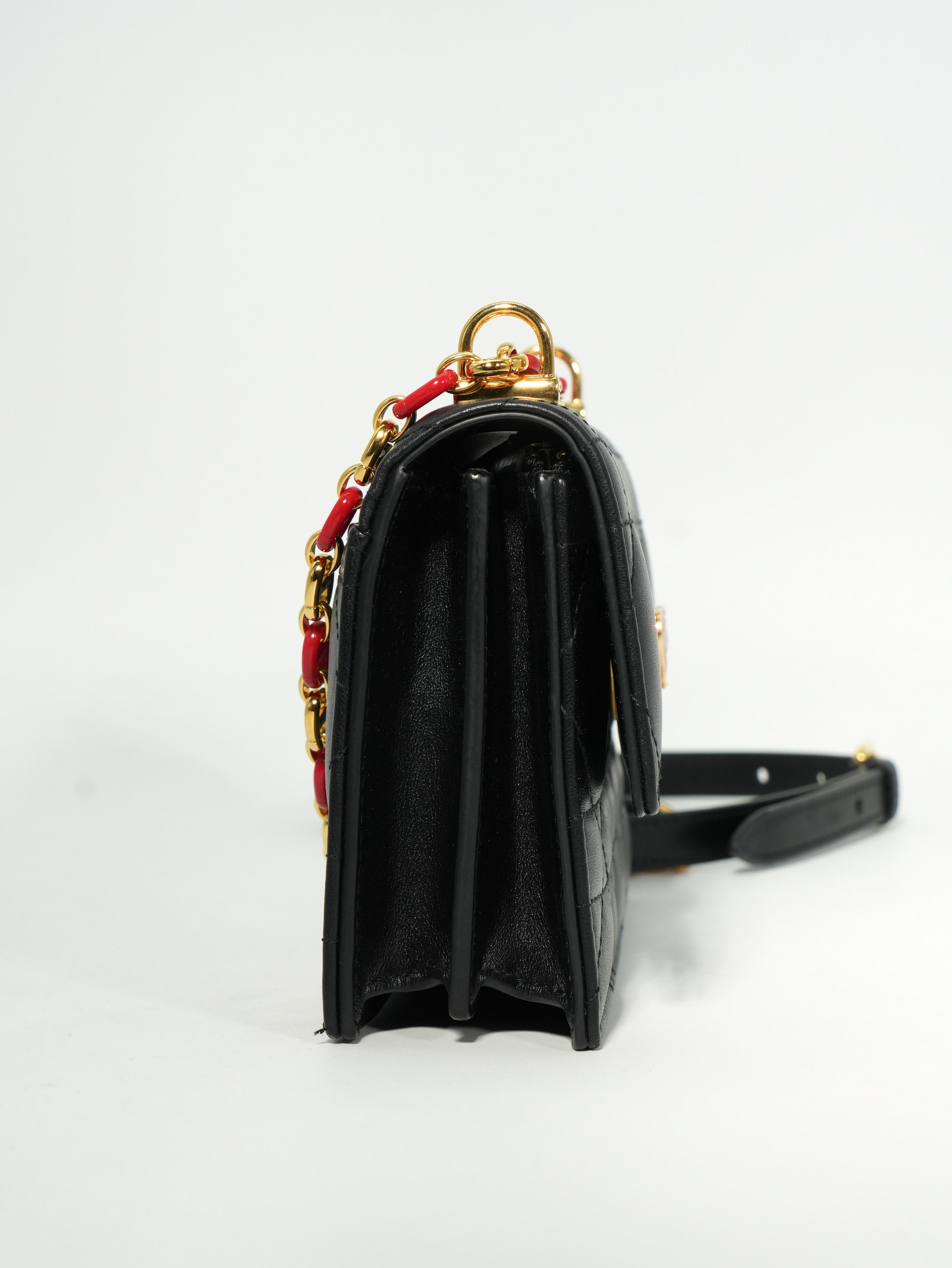 Dior Miss Caro Mini Dioramour