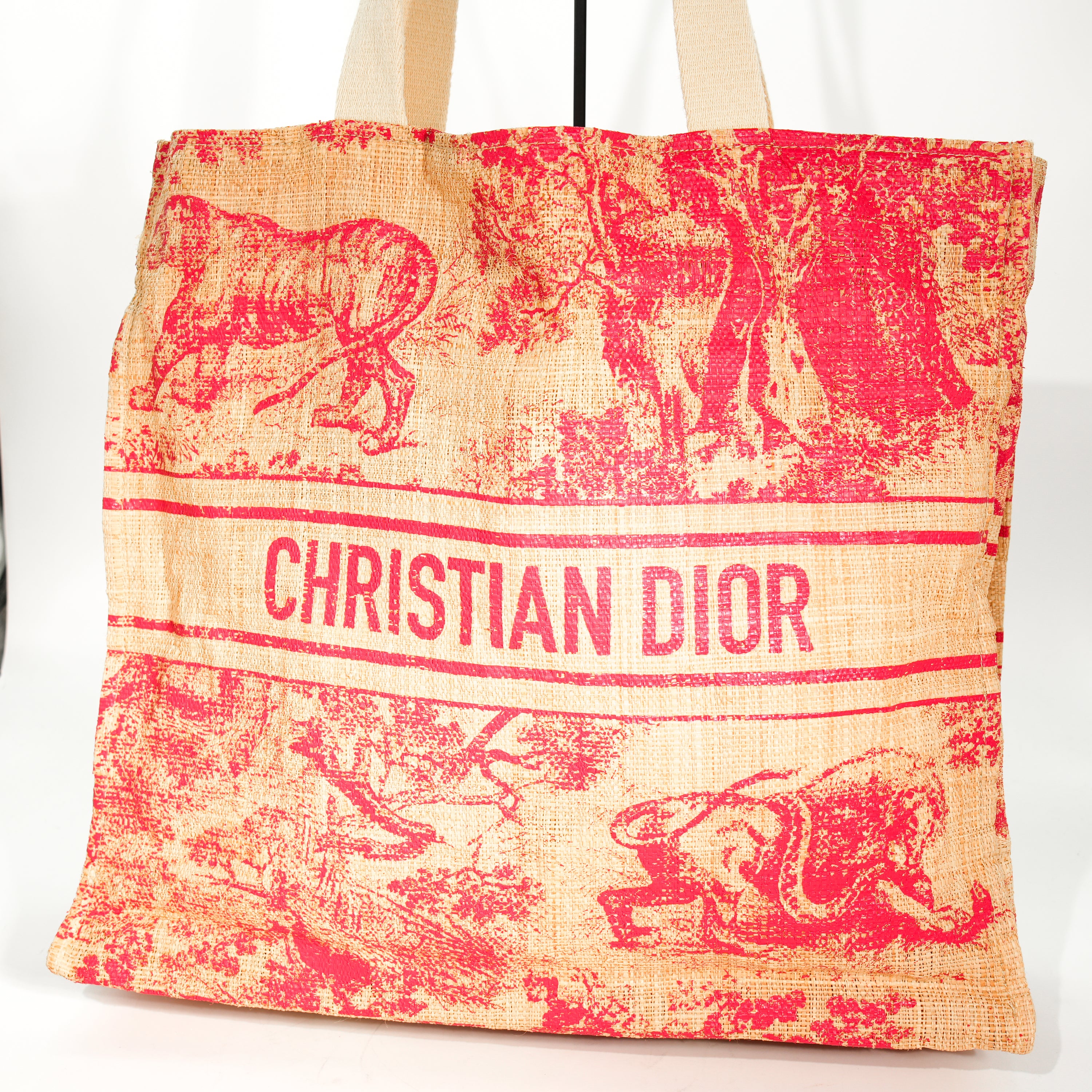Dior Tote Riviera