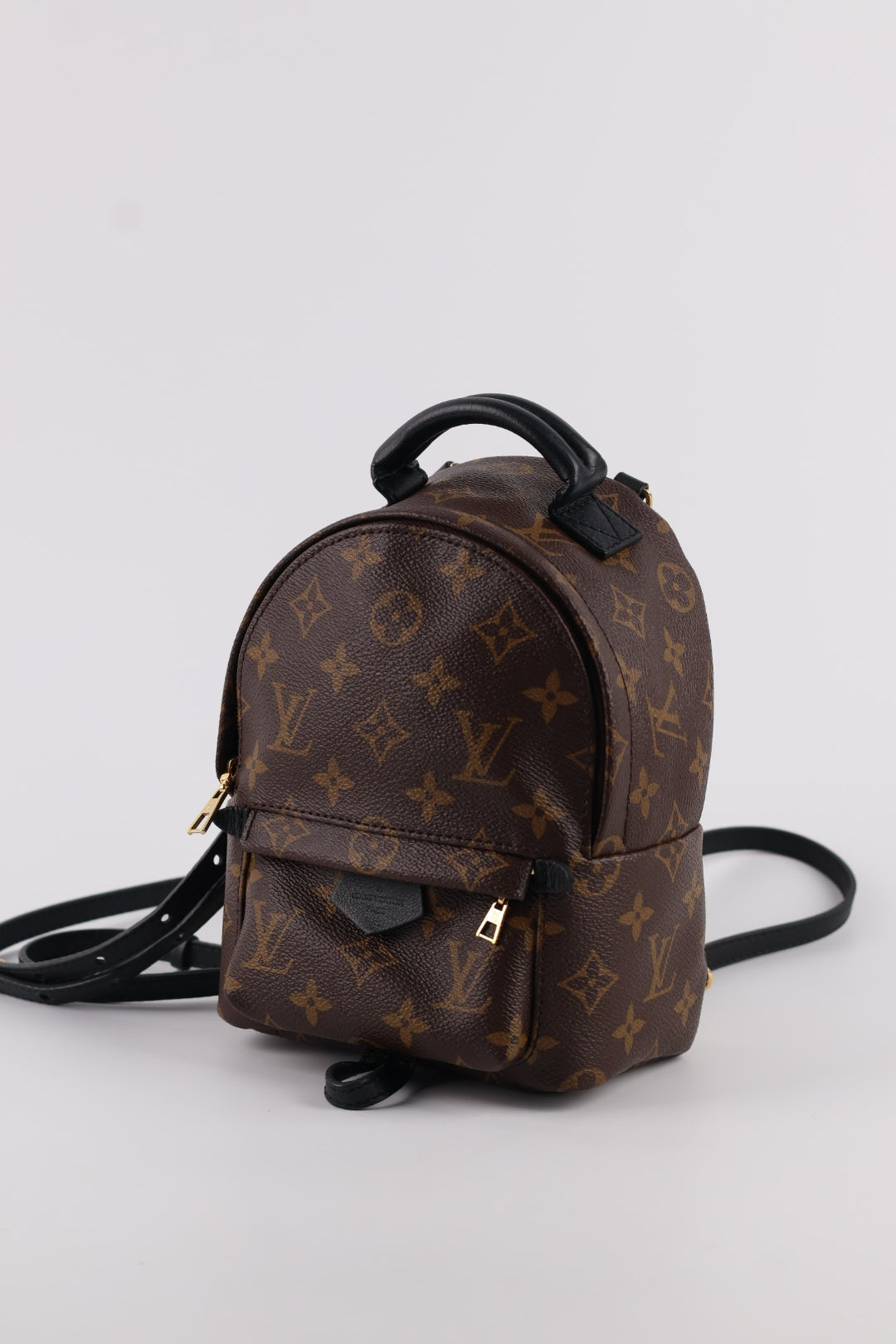 Louis Vuitton Mini Palm Spring Monogram