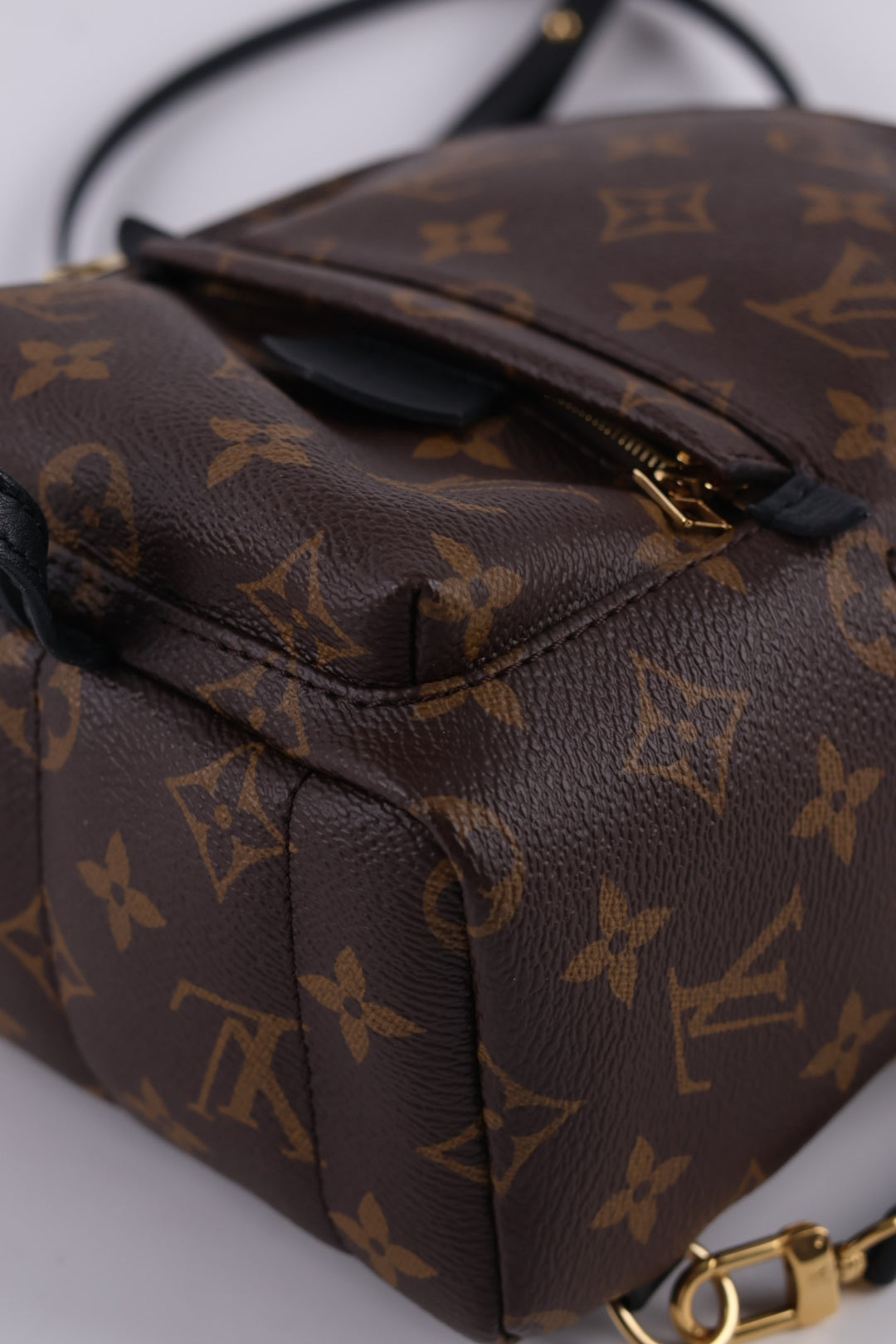 Louis Vuitton Mini Palm Spring Monogram