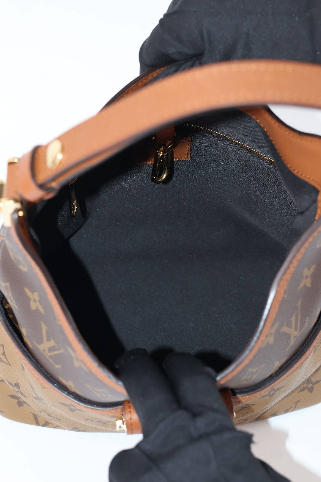 Louis Vuitton Dauphine Hobo Monogram
