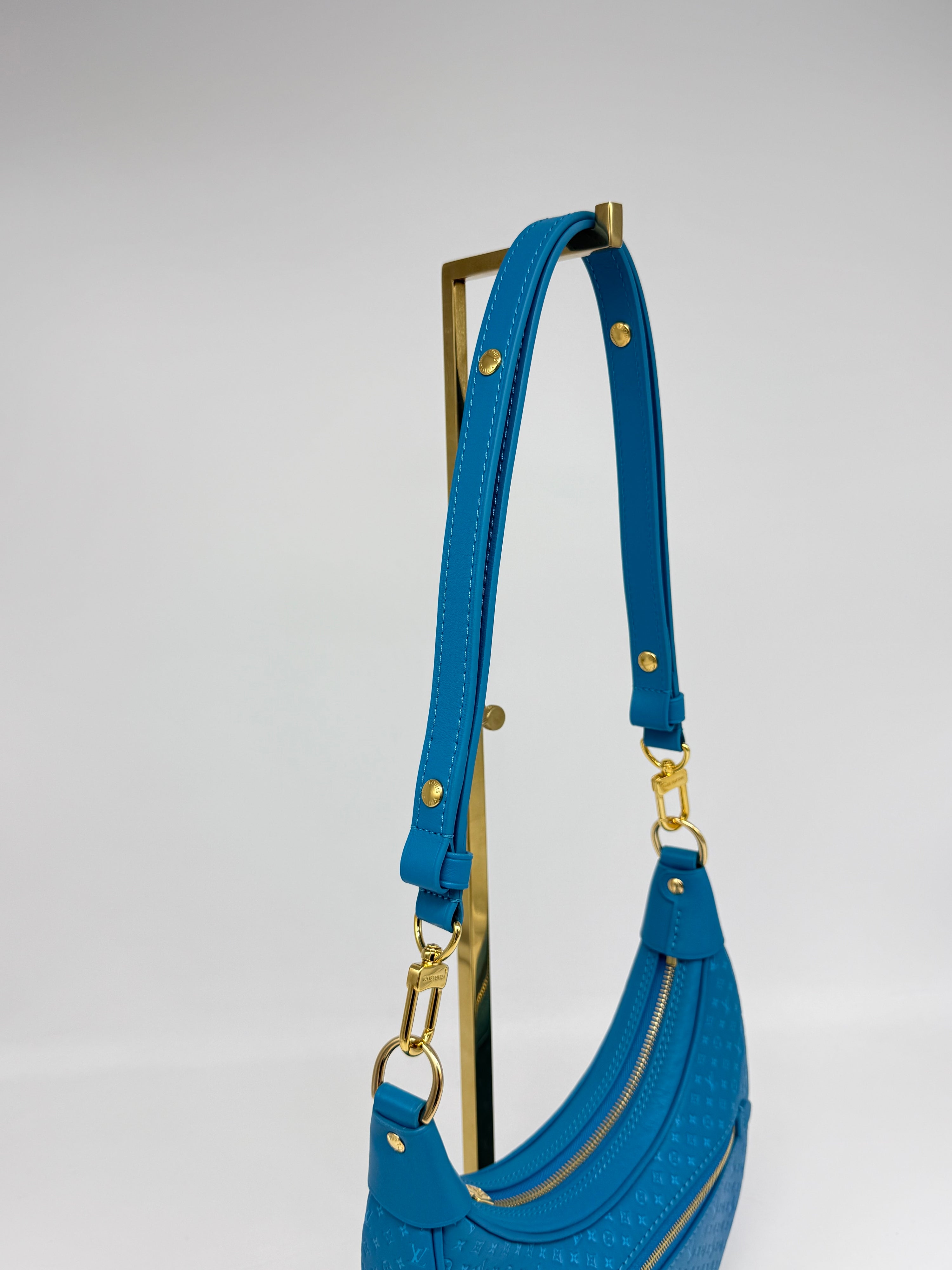 Louis Vuitton Loop Hobo Nanogram