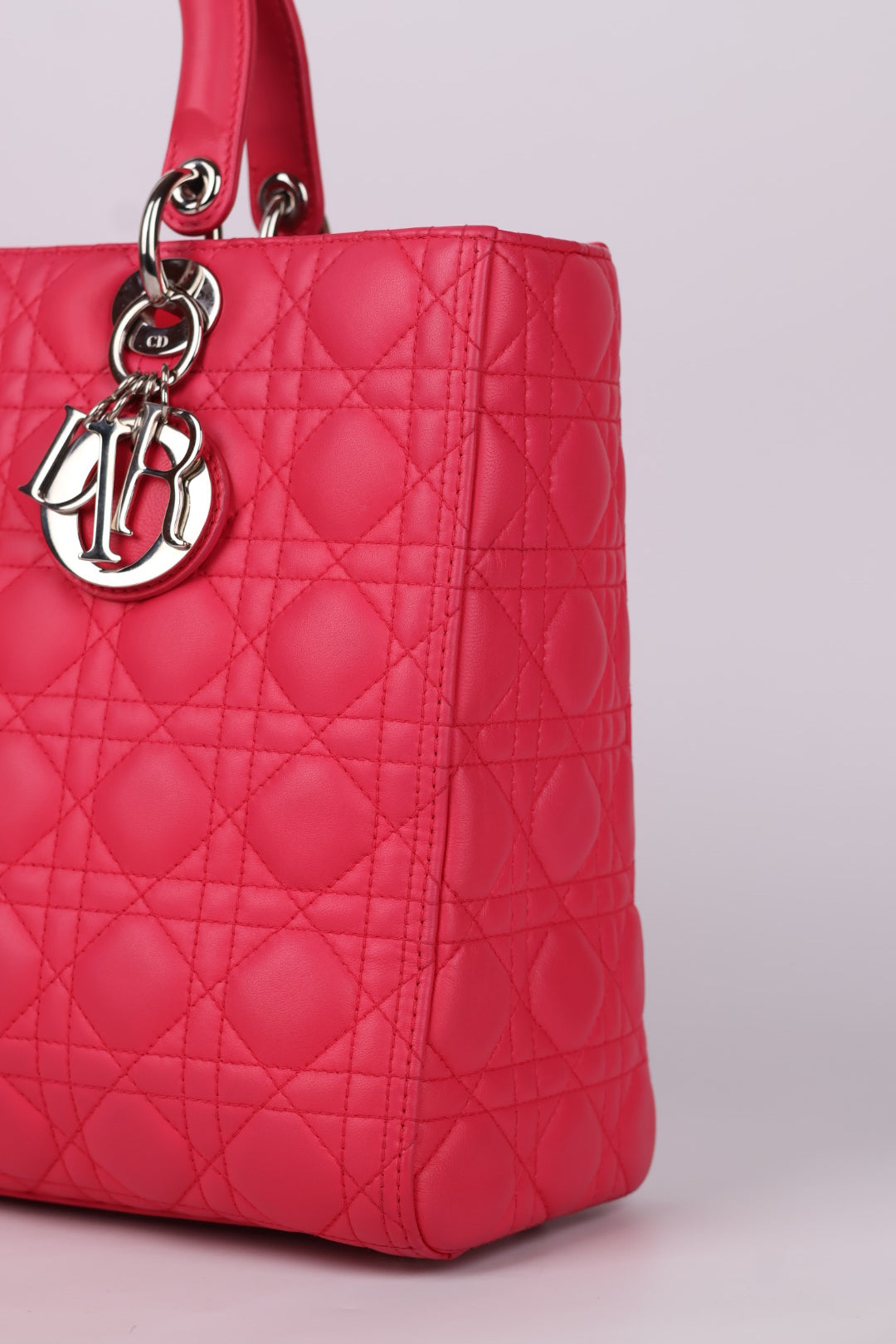 Lady Dior Large in Pelle