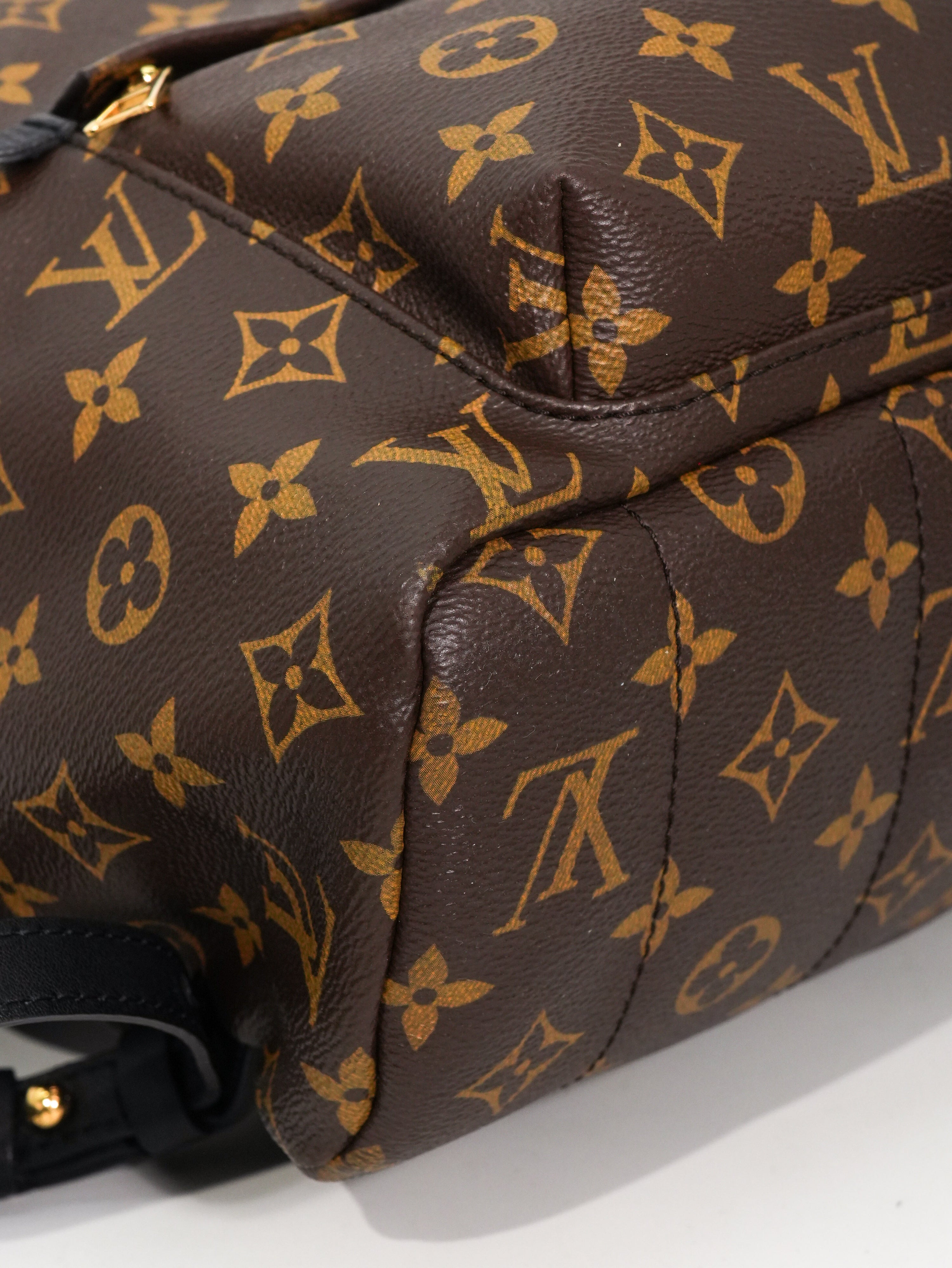 Louis Vuitton Palm Spring MM Monogram
