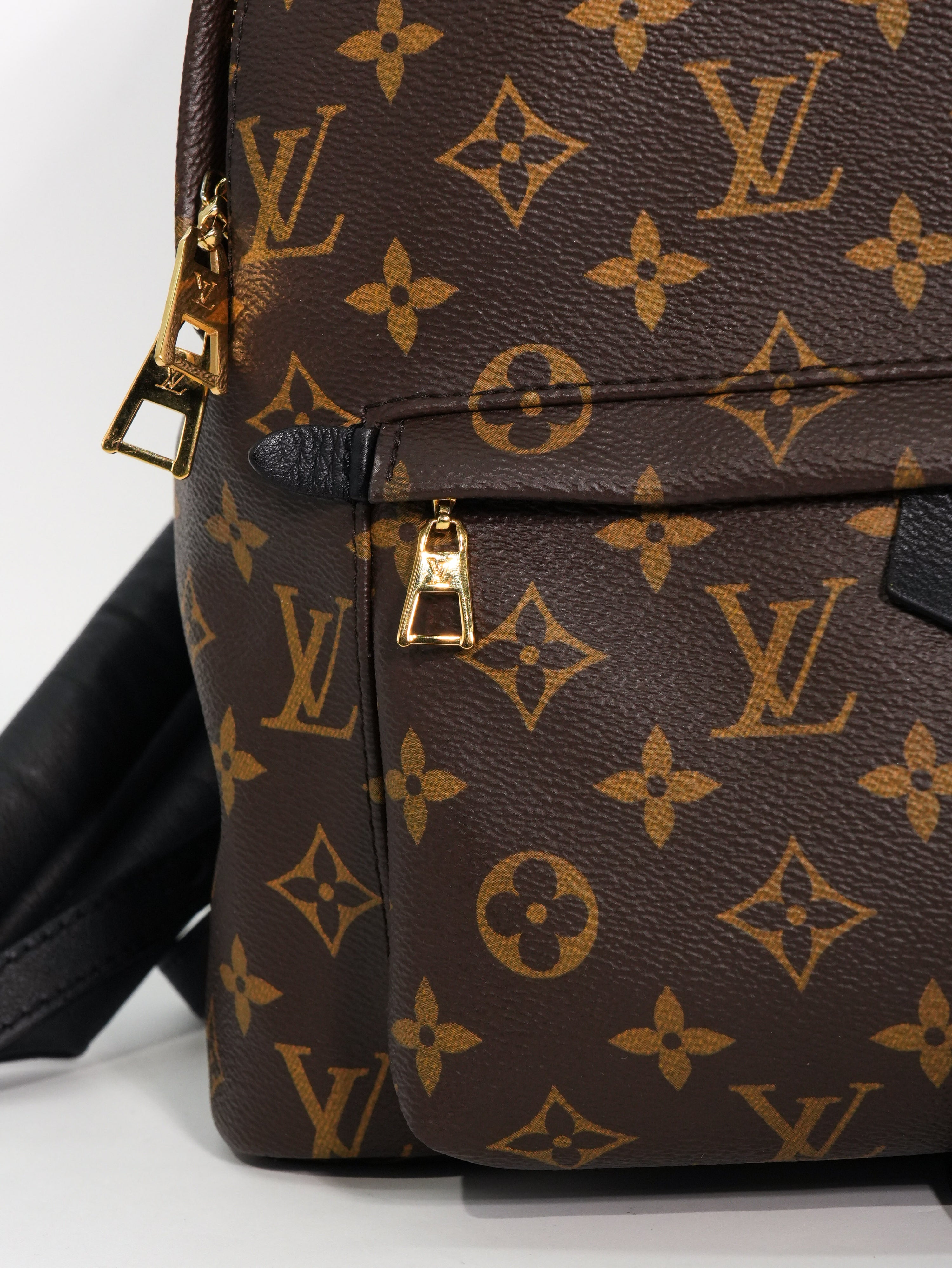 Louis Vuitton Palm Spring MM Monogram