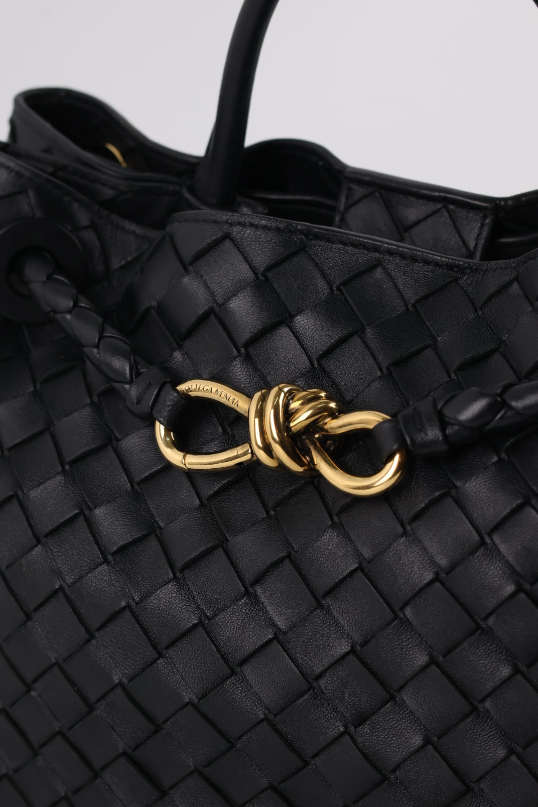 Bottega Veneta Andiamo Media