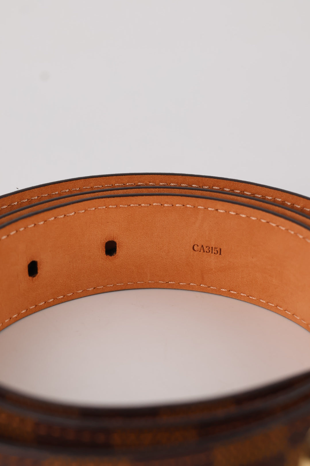 Louis Vuitton Cintura Ellipse Damier Ébène