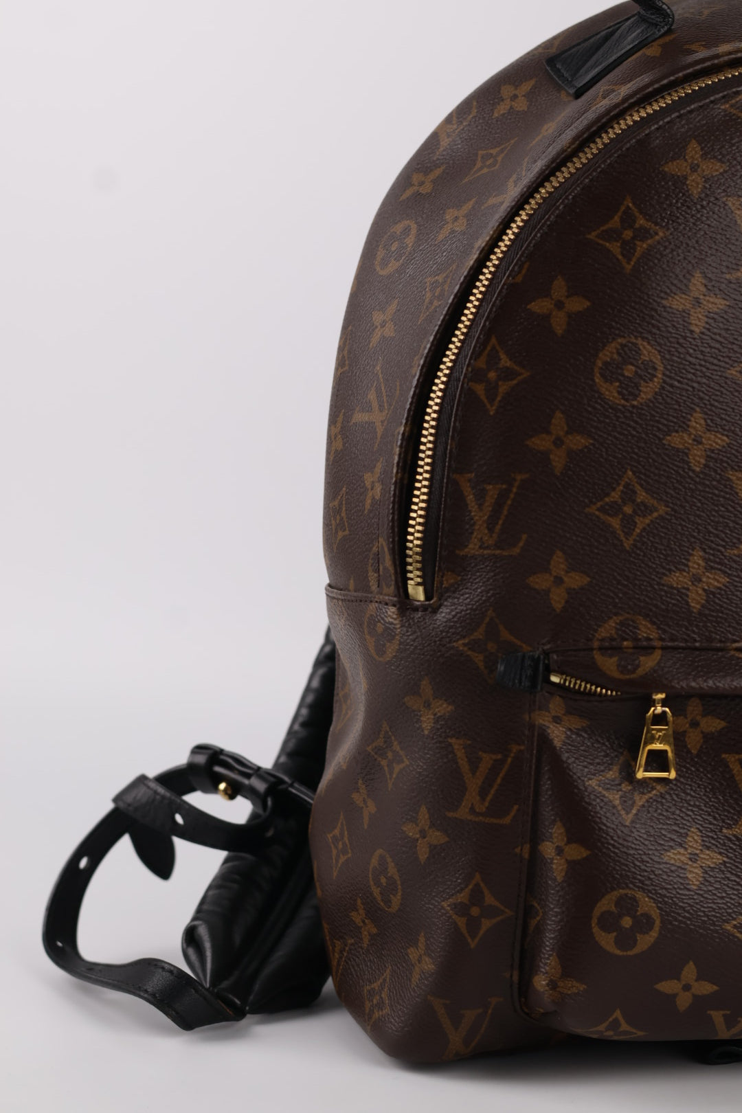 Louis Vuitton Palm Spring MM Monogram