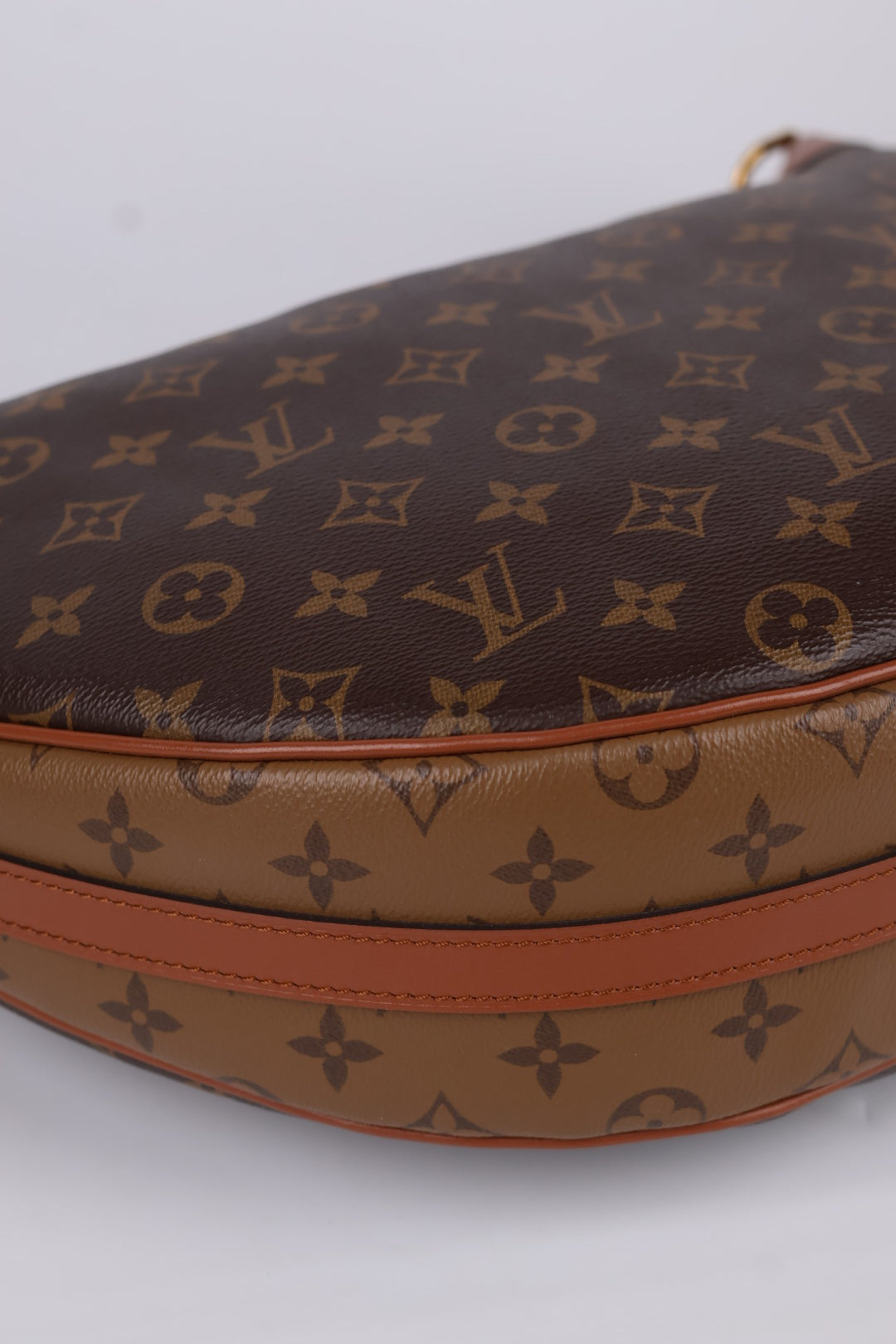 Louis Vuitton Loop Hobo Monogram