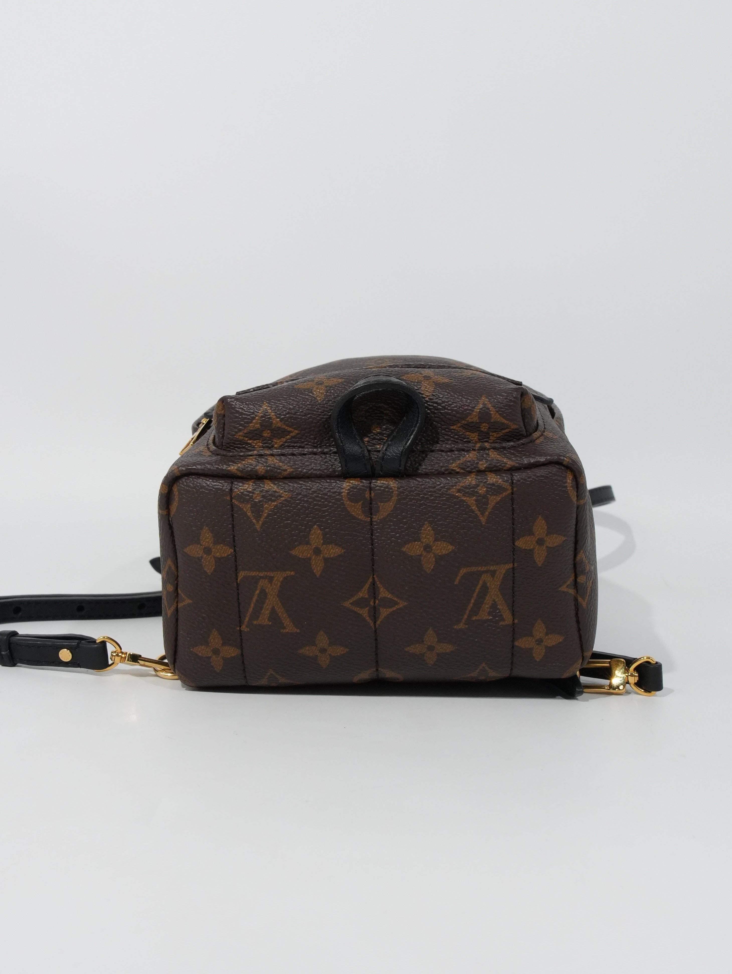 Louis Vuitton Mini Palm Spring