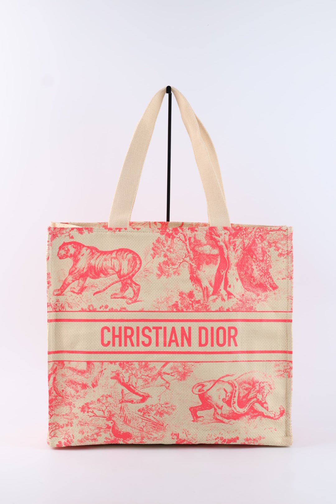 Dior Tote Riviera